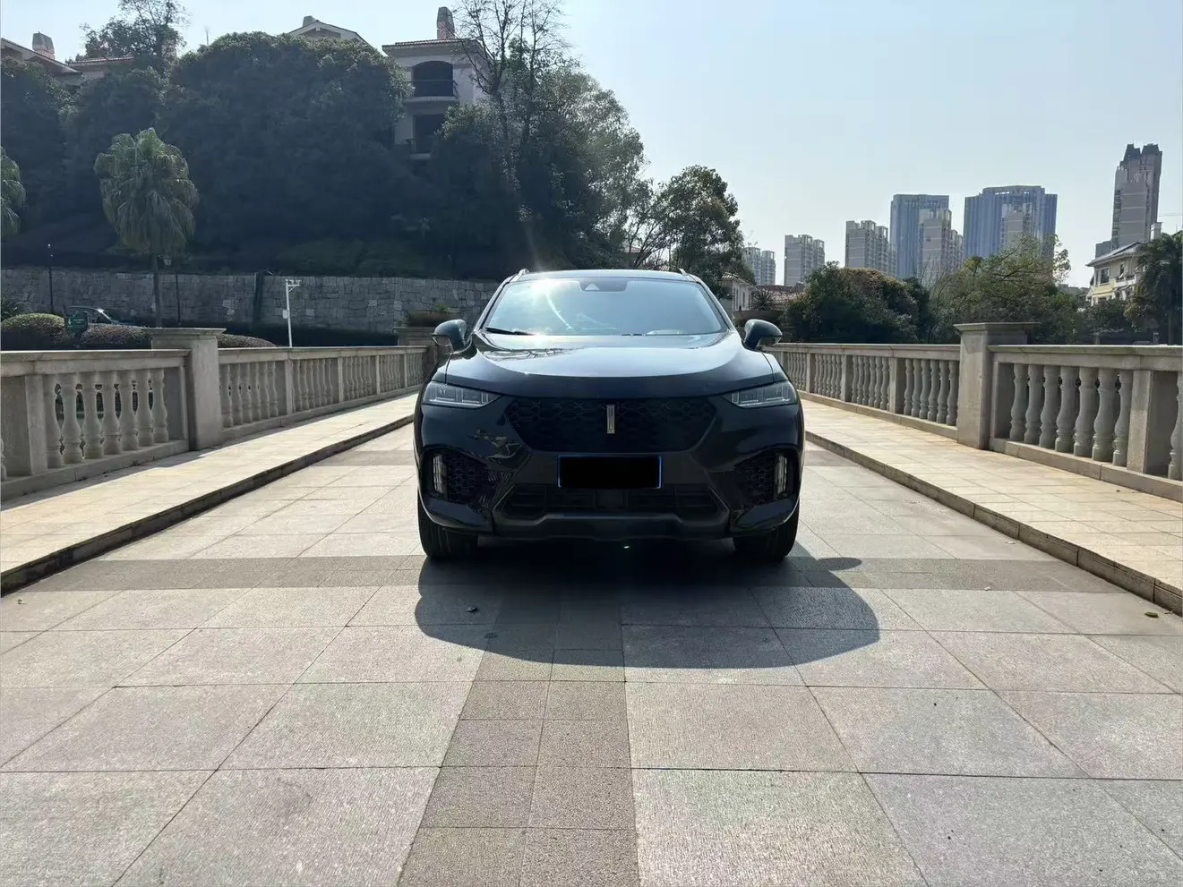 Wey Wei brand VV7