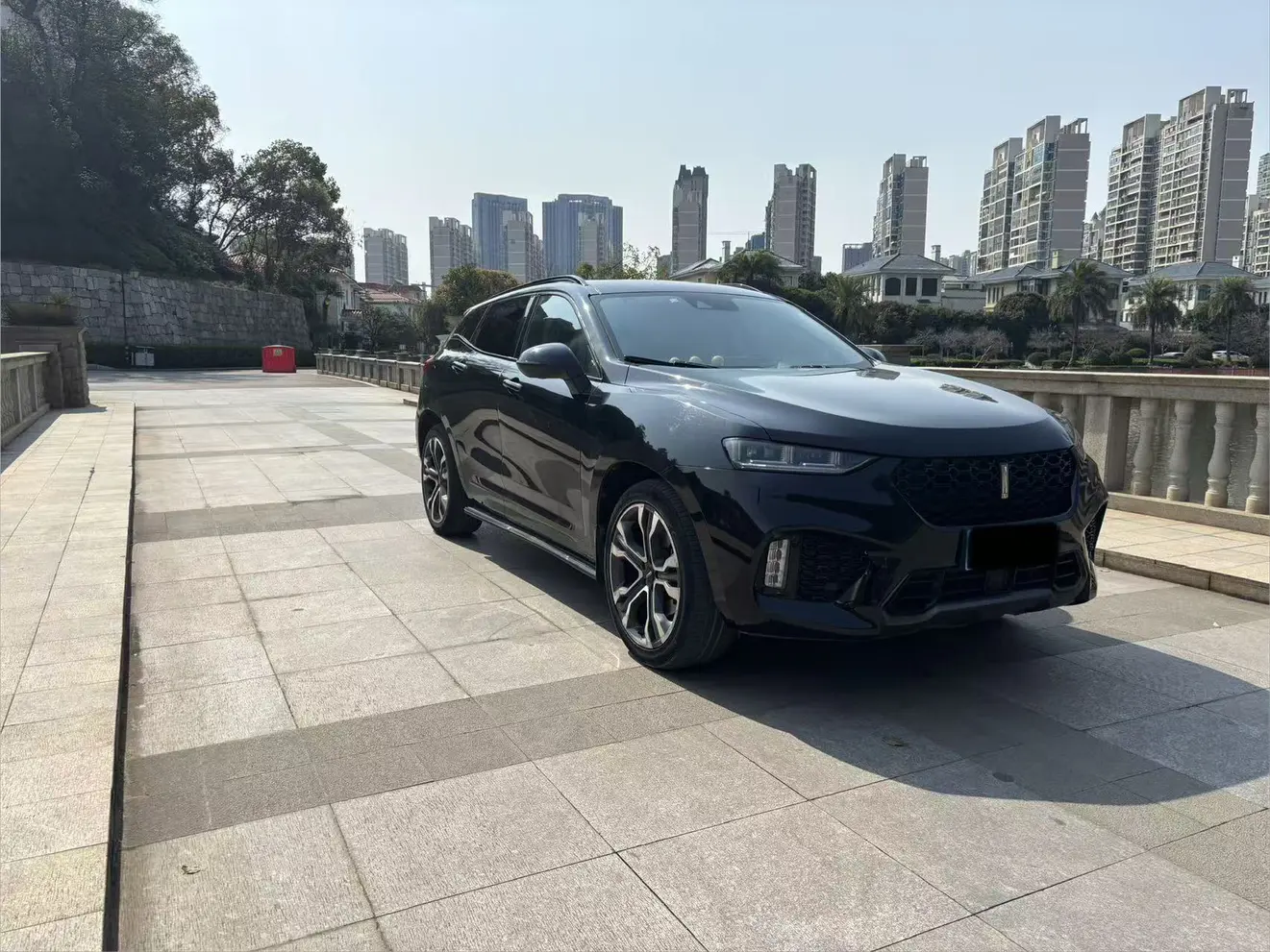 Wey Wei brand VV7