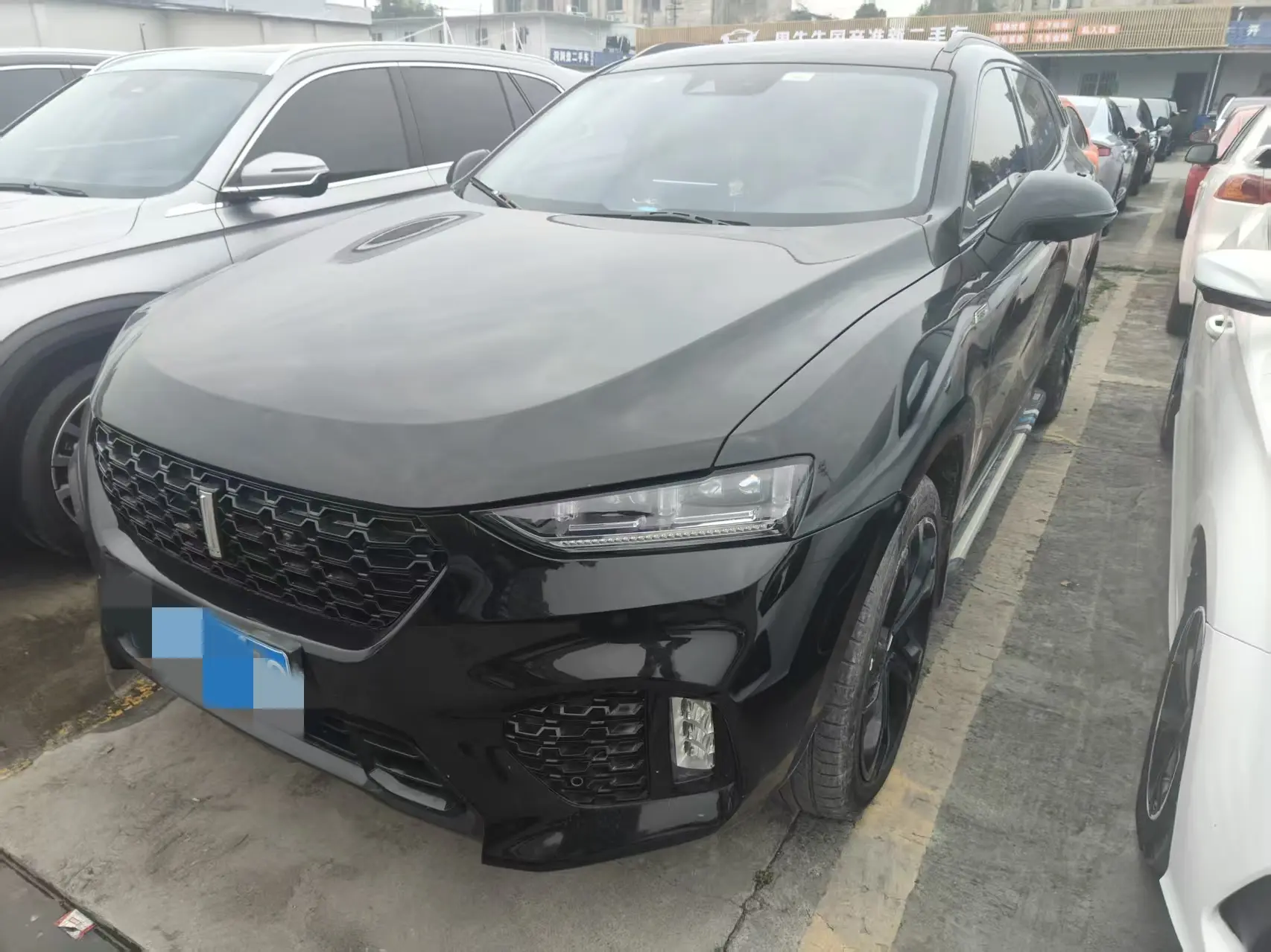 Wey Wei brand VV7