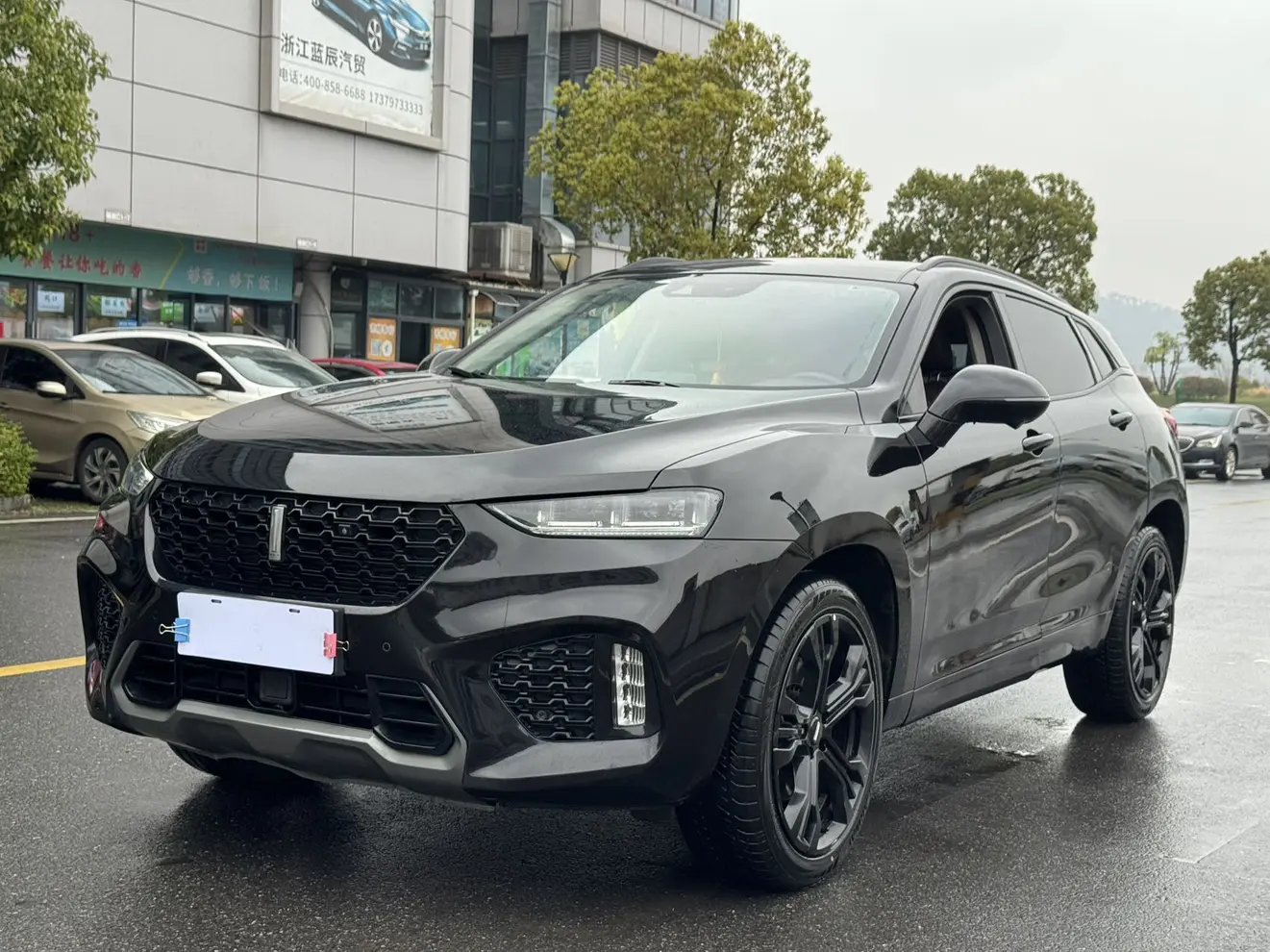 Wey Wei brand VV7
