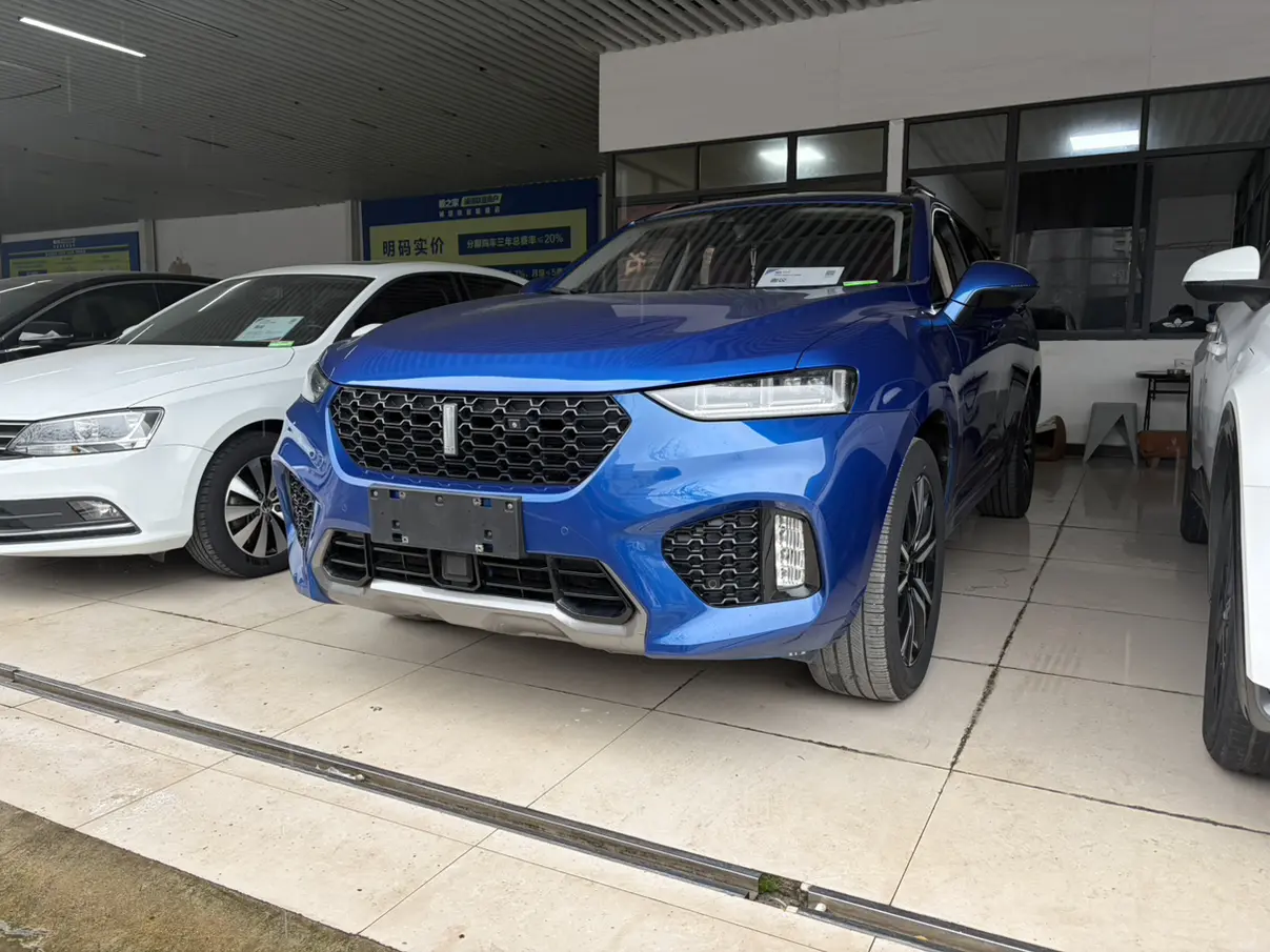 Wey Wei brand VV7