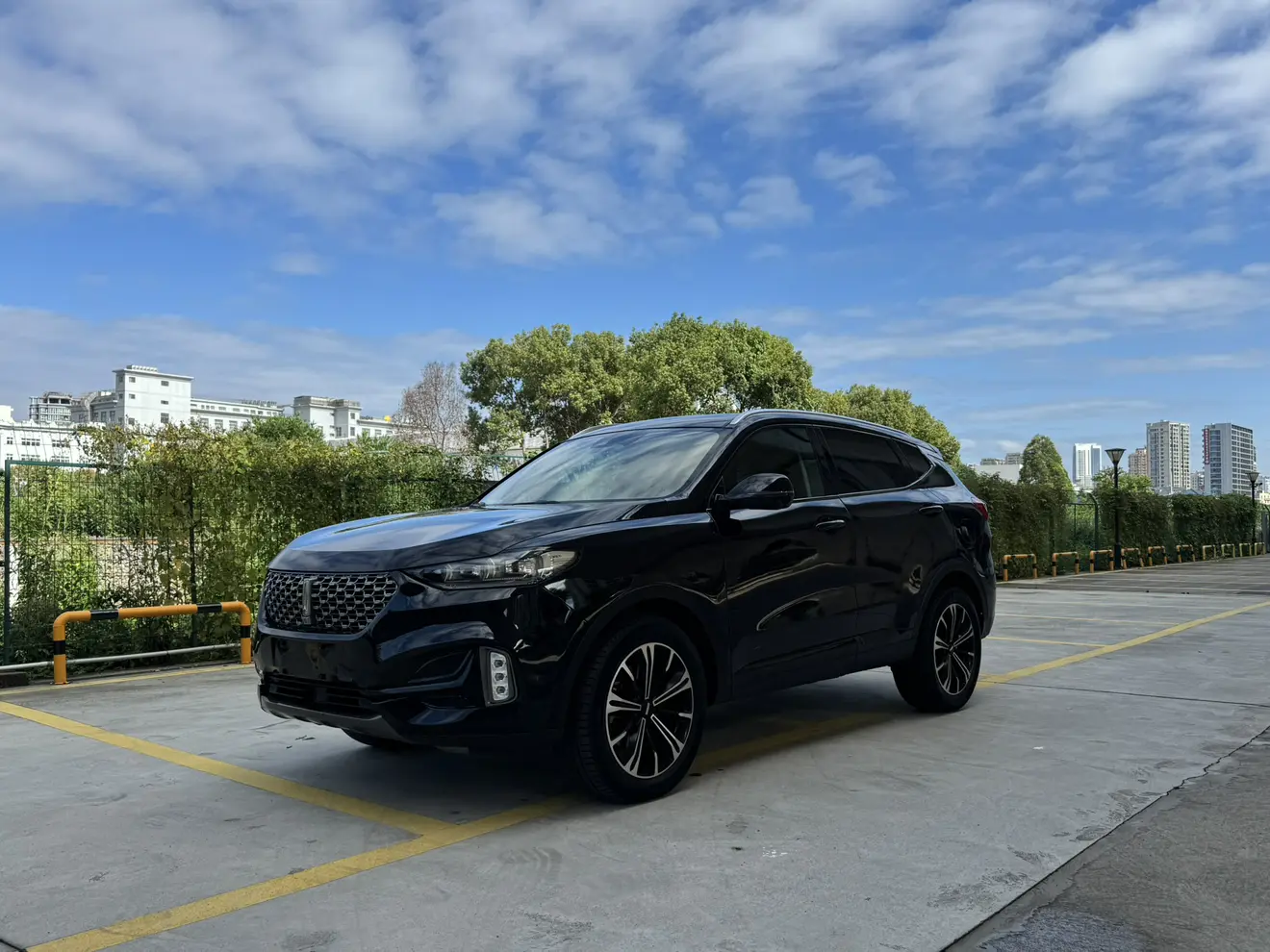 Wey Wei brand VV6