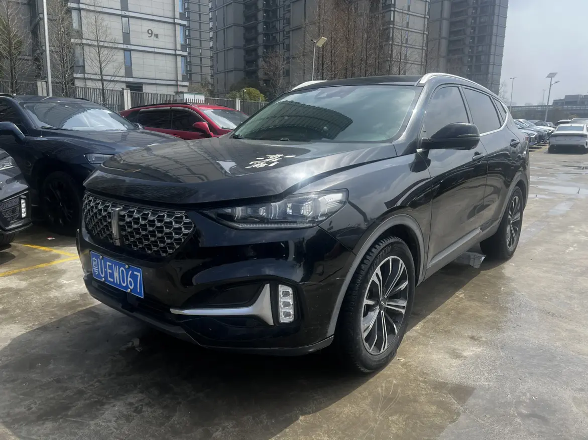 Wey Wei brand VV6