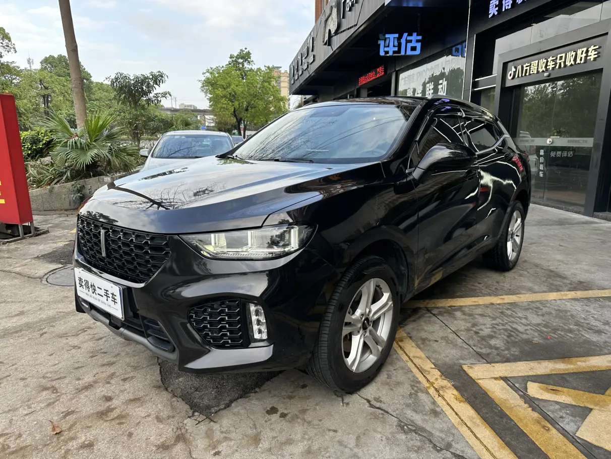 Wey Wei brand VV5