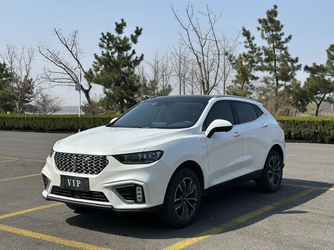 Wey Wei brand VV5