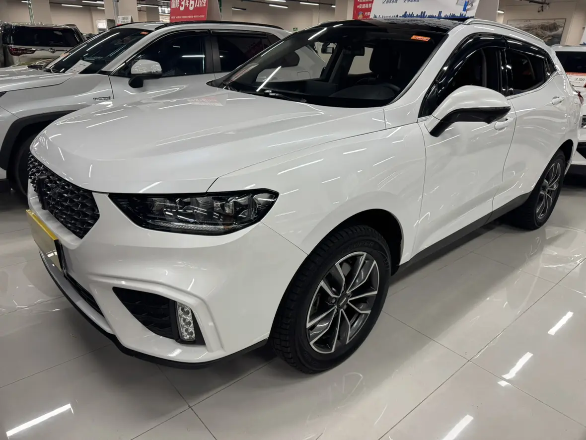 Wey Wei brand VV5