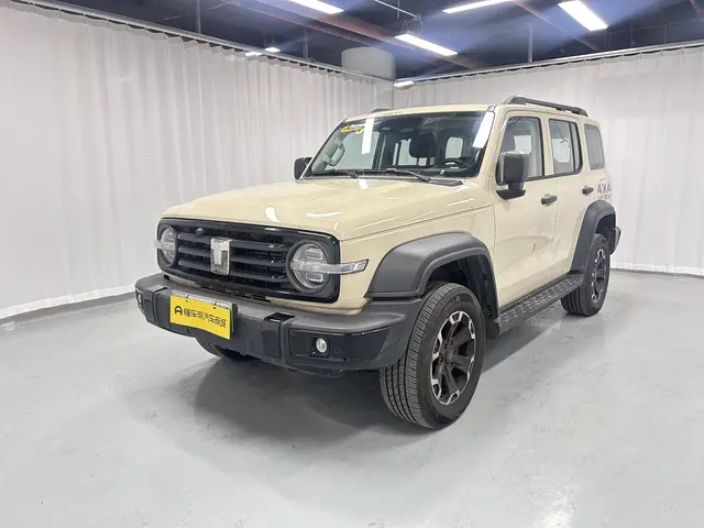 Tank 300 Hi4-T  из Китая