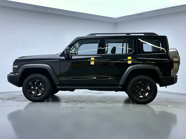Tank 300