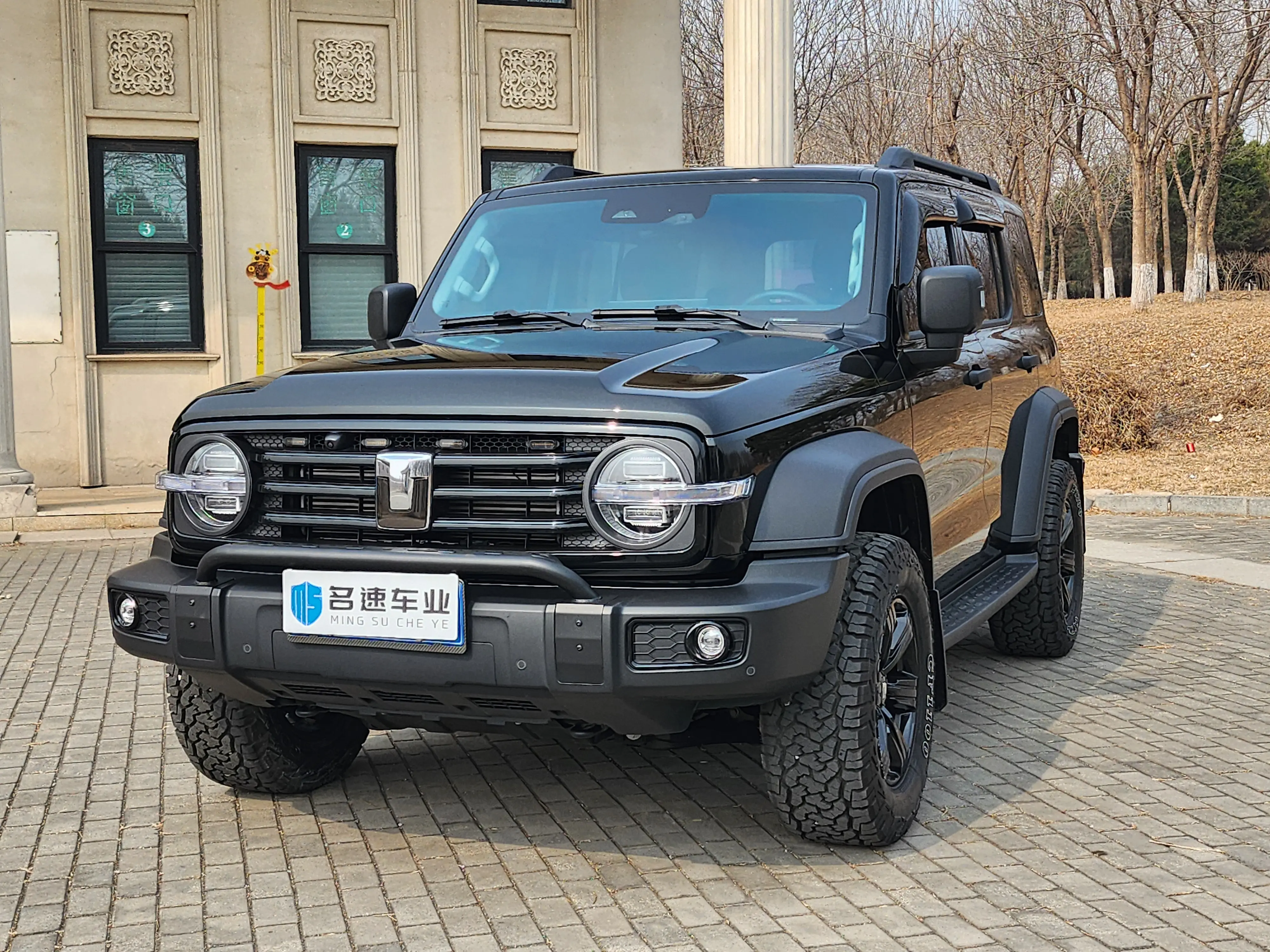 Tank 300