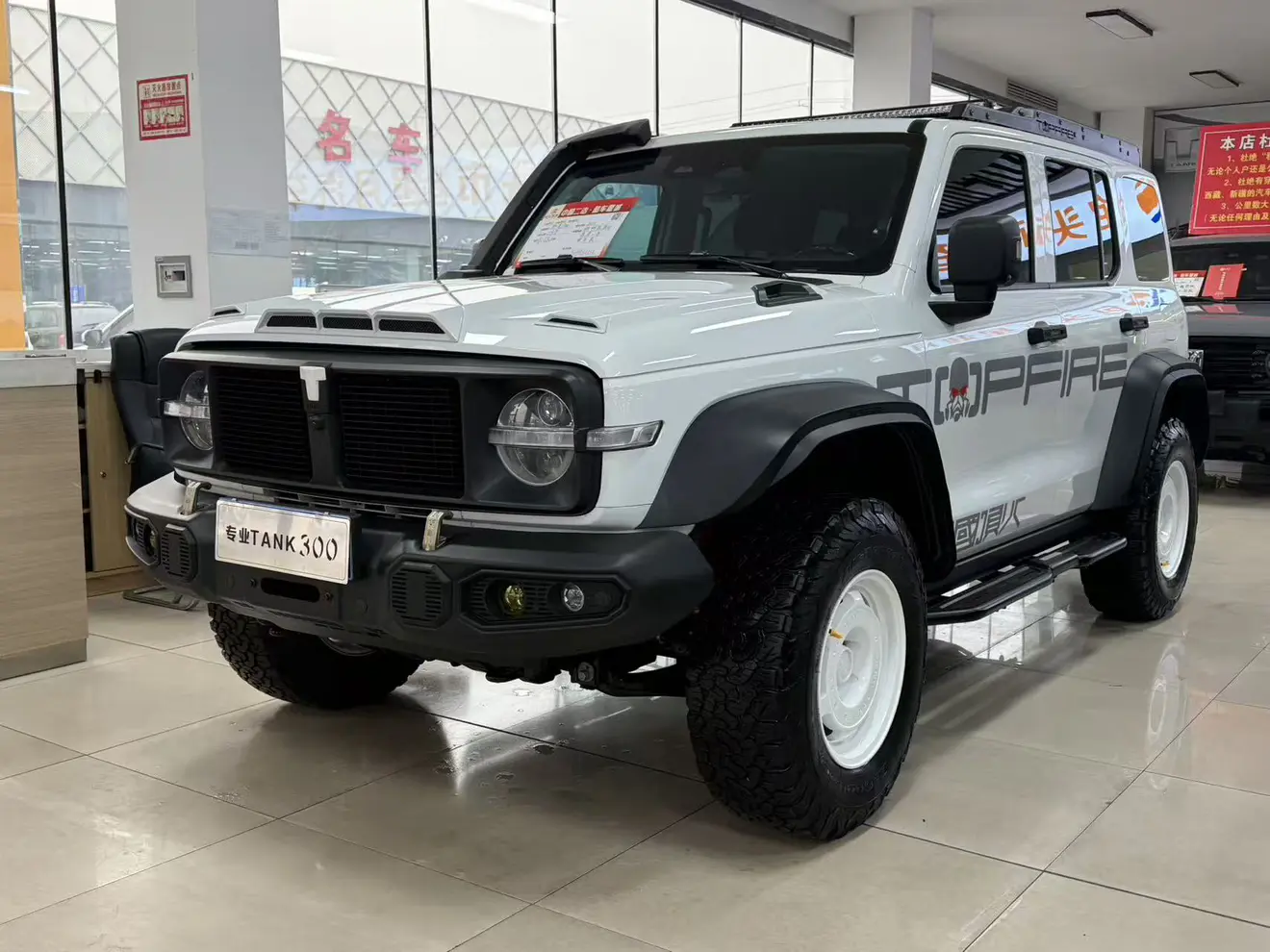Tank 300