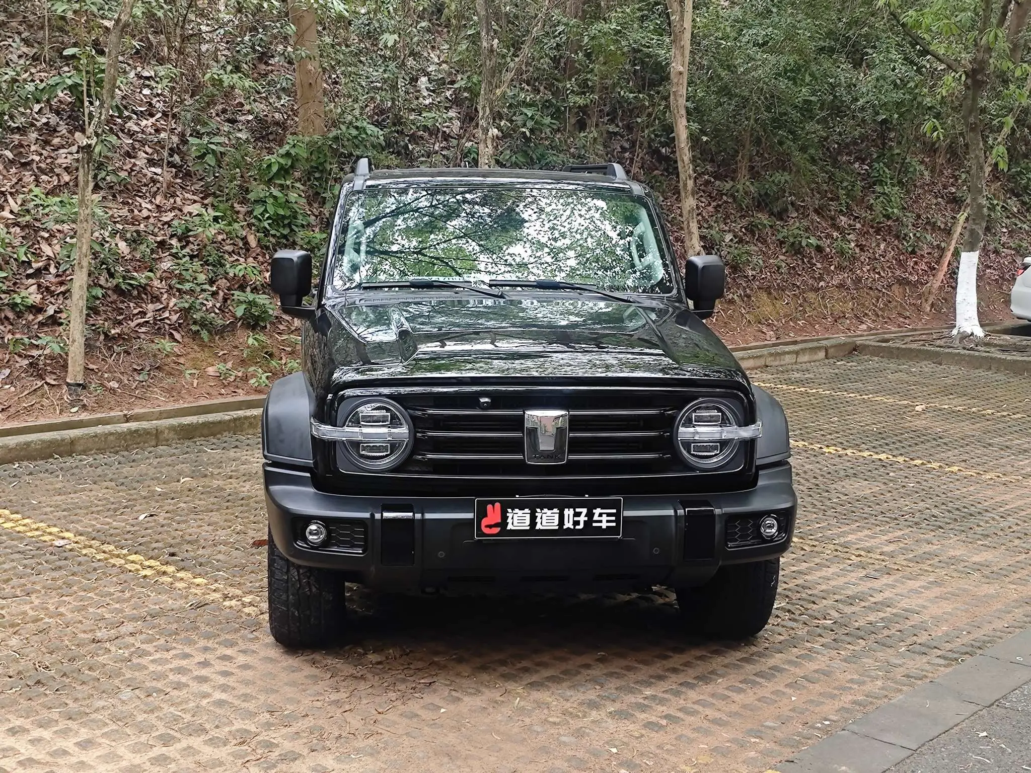 Tank 300