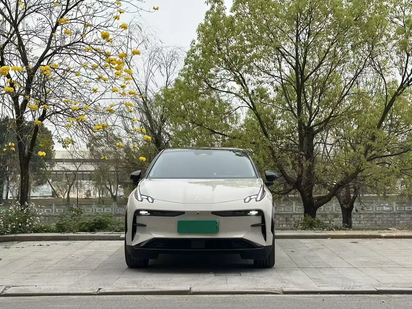 ZEEKR X  из Китая