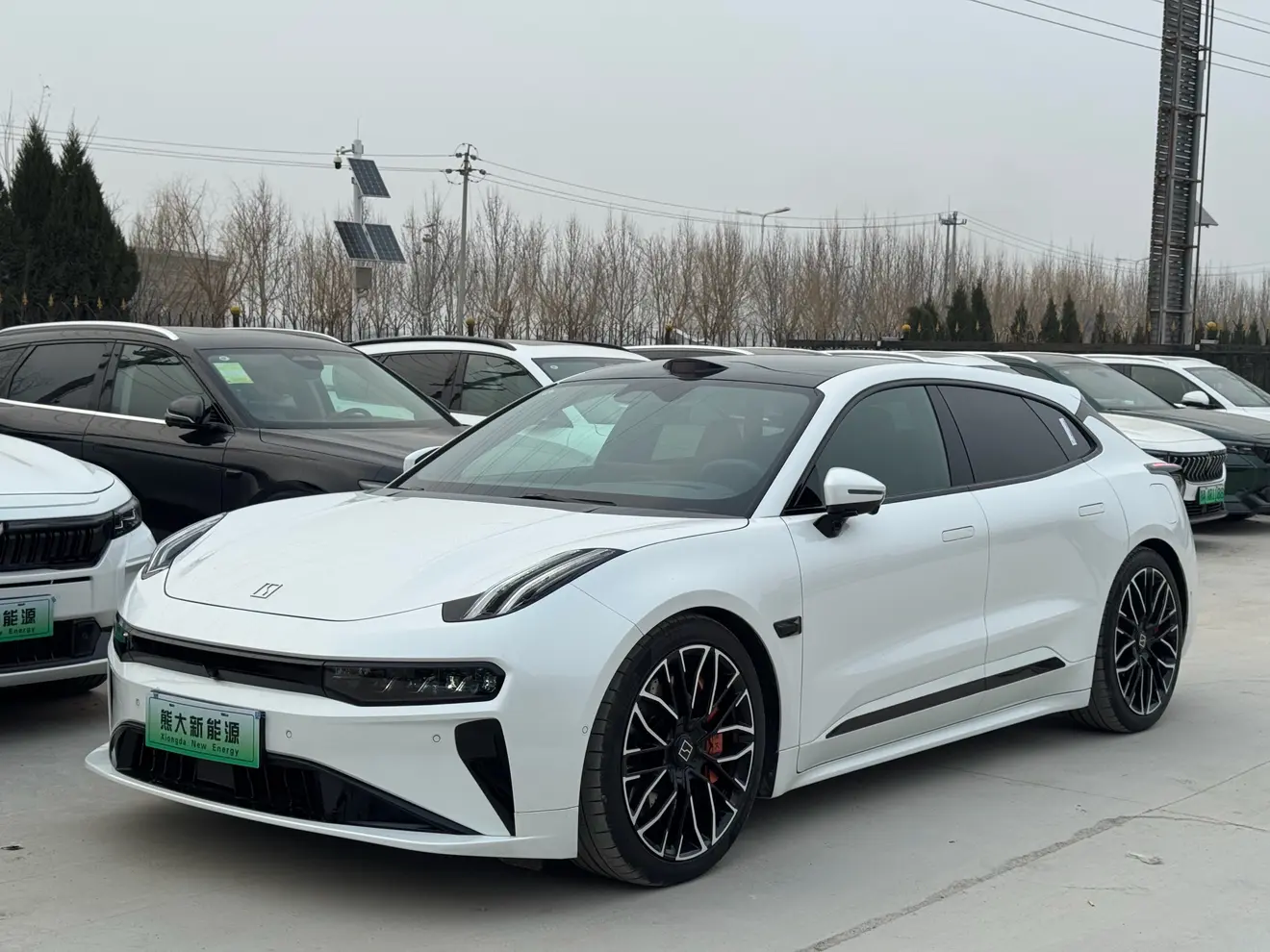 ZEEKR 001