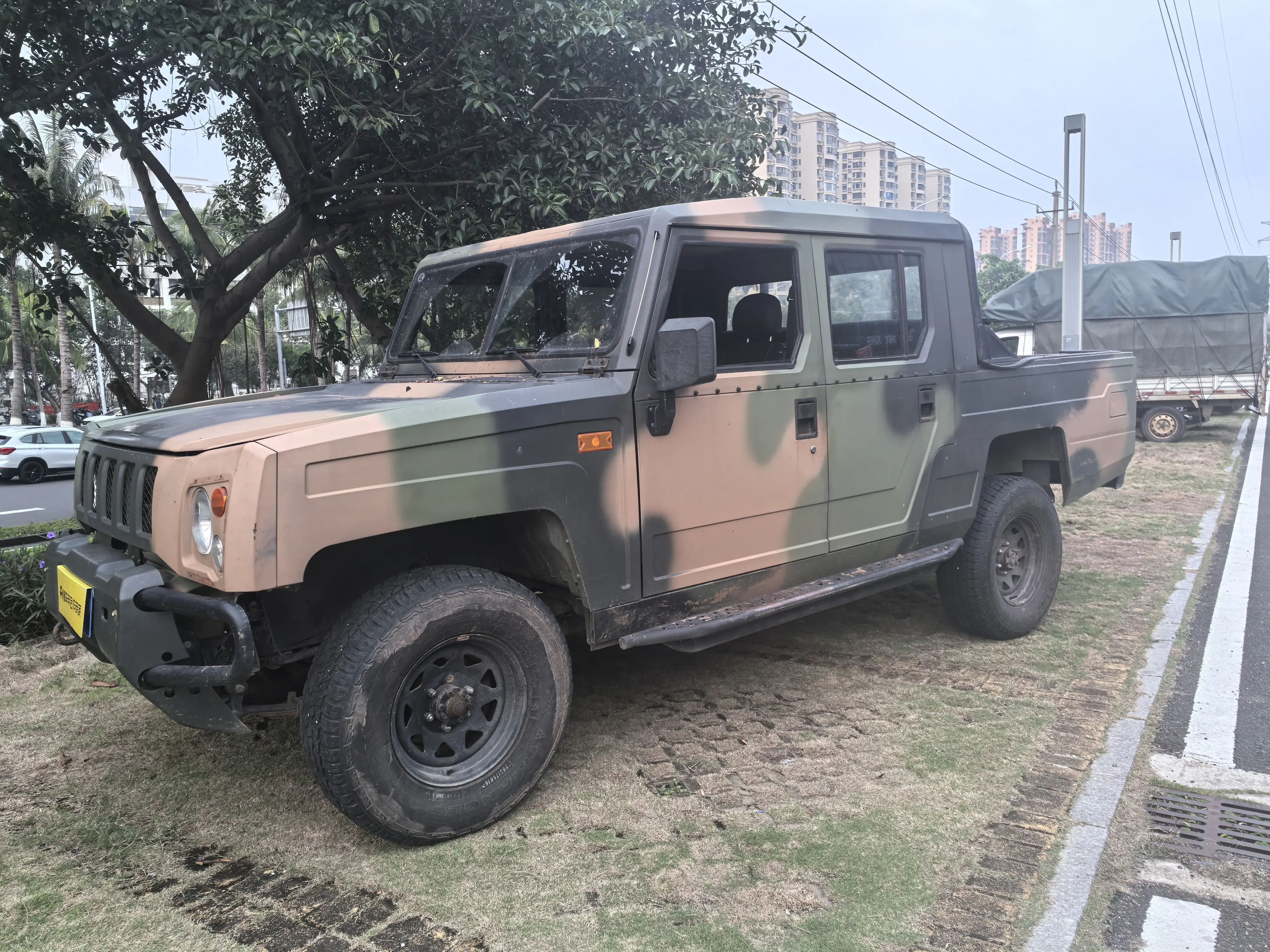 BAW Warrior Pickup