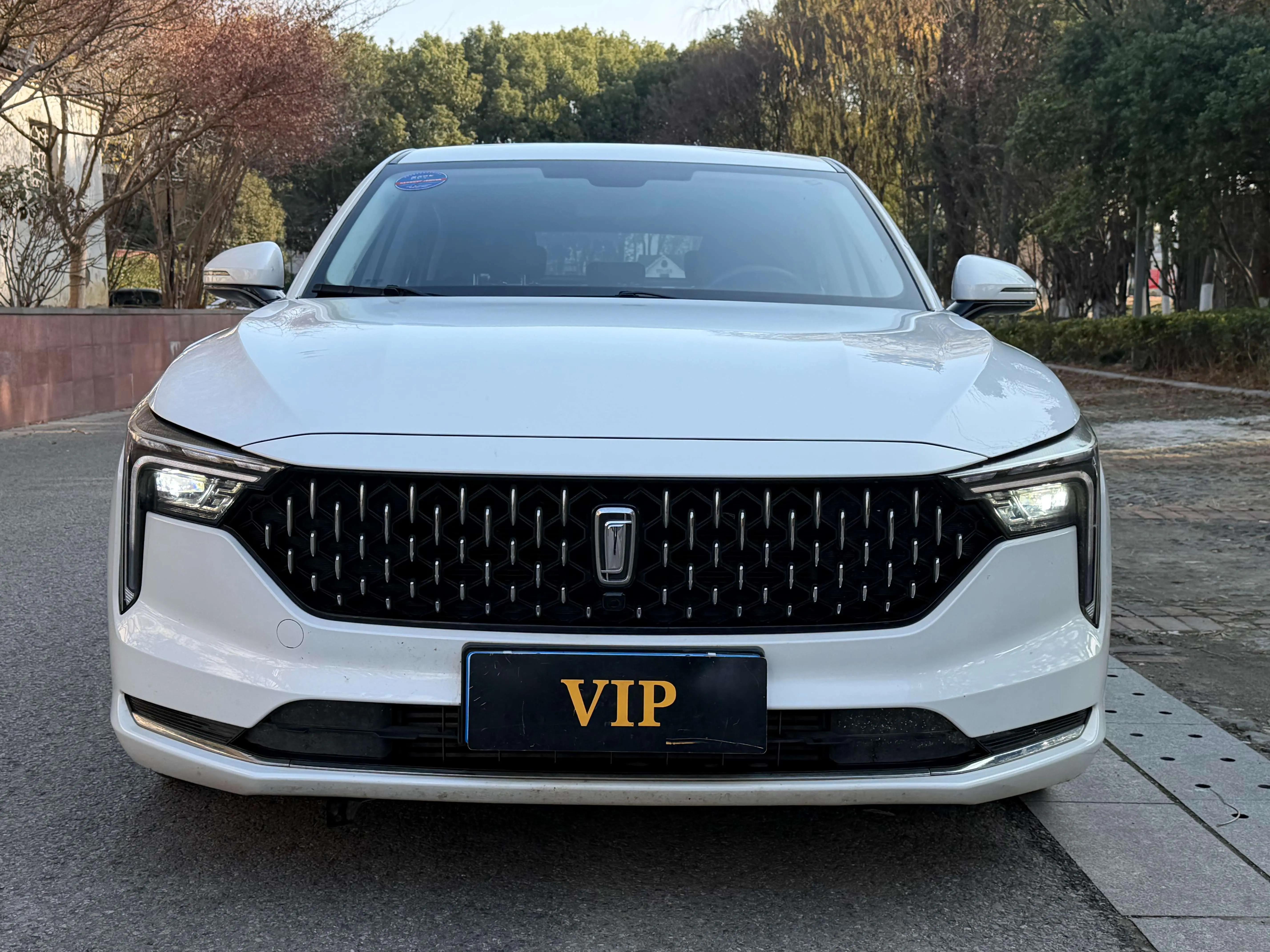 FAW Bestune B70 (Besturn B70)  из Китая