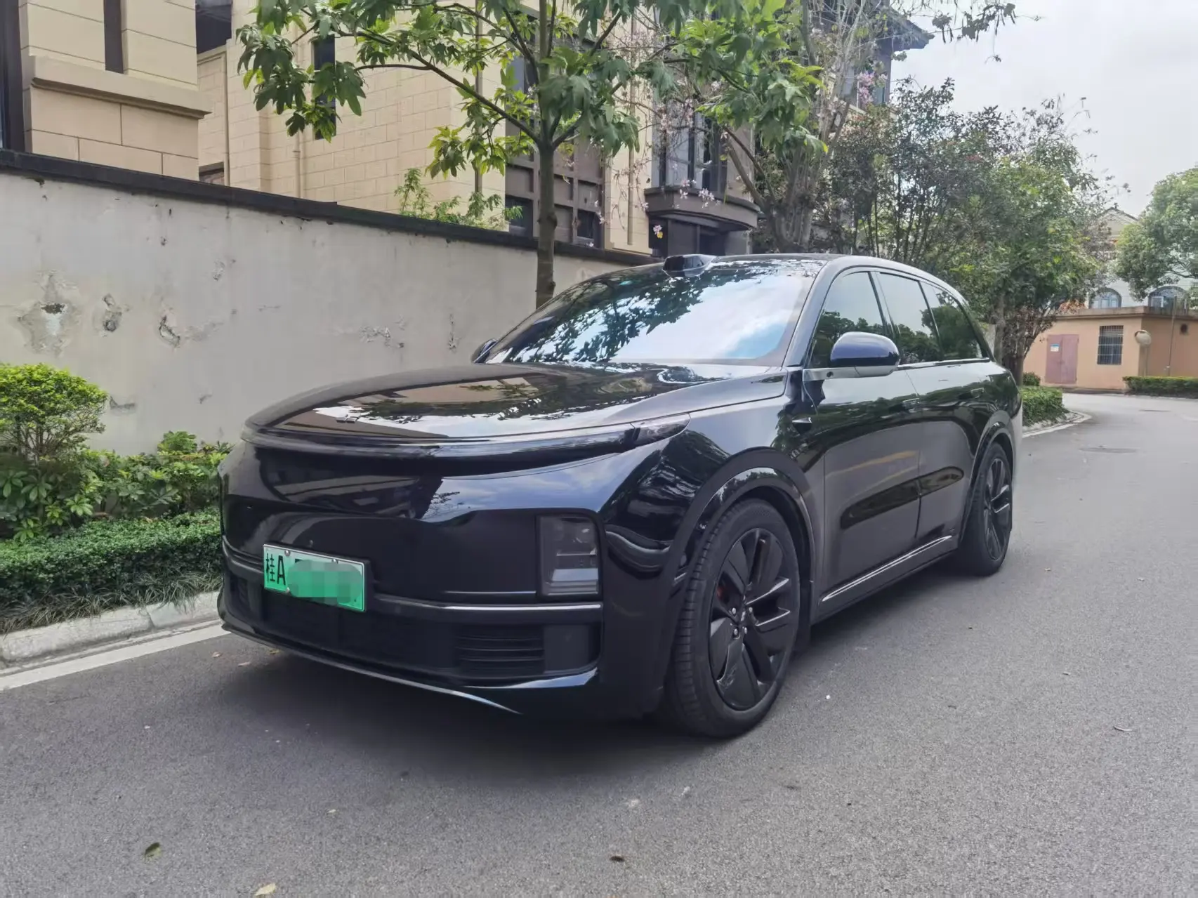 Lixiang L8
