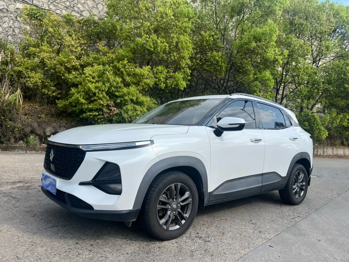 Baojun RS-3