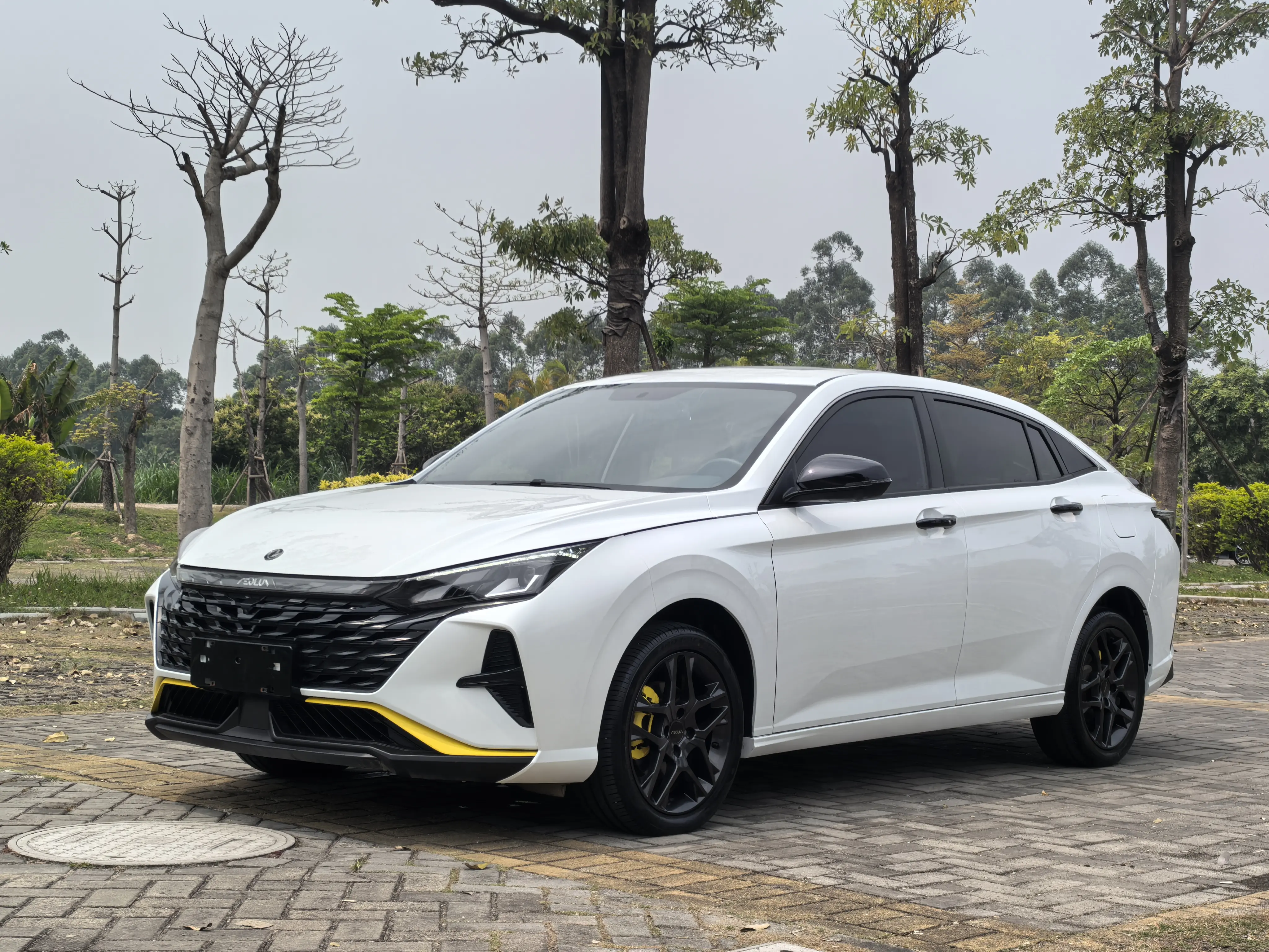Dongfeng Yixuan