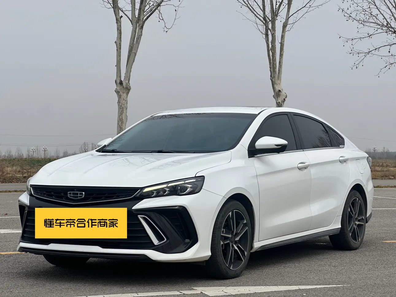 Geely Binrui