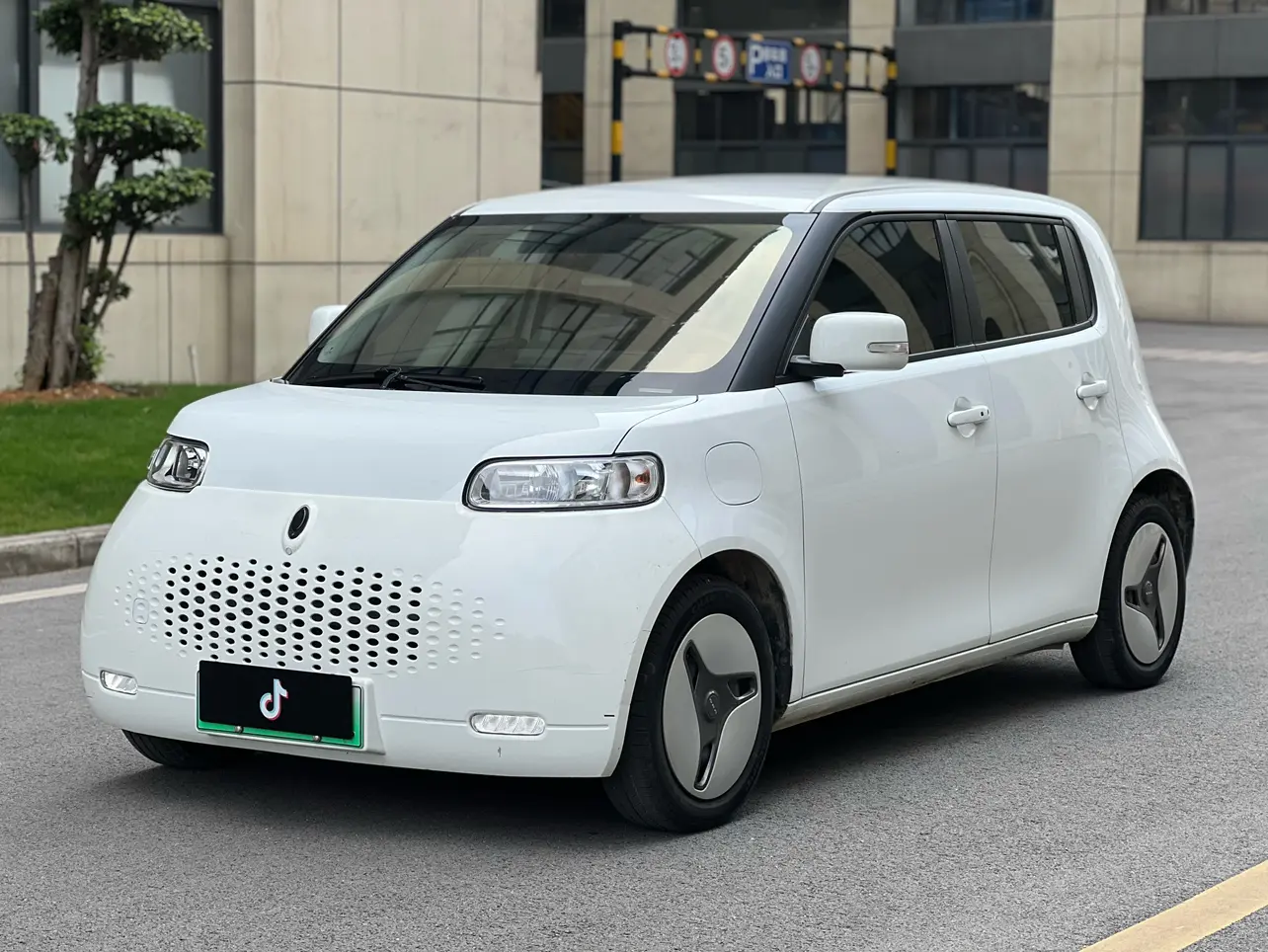 ORA Euler white cat  из Китая