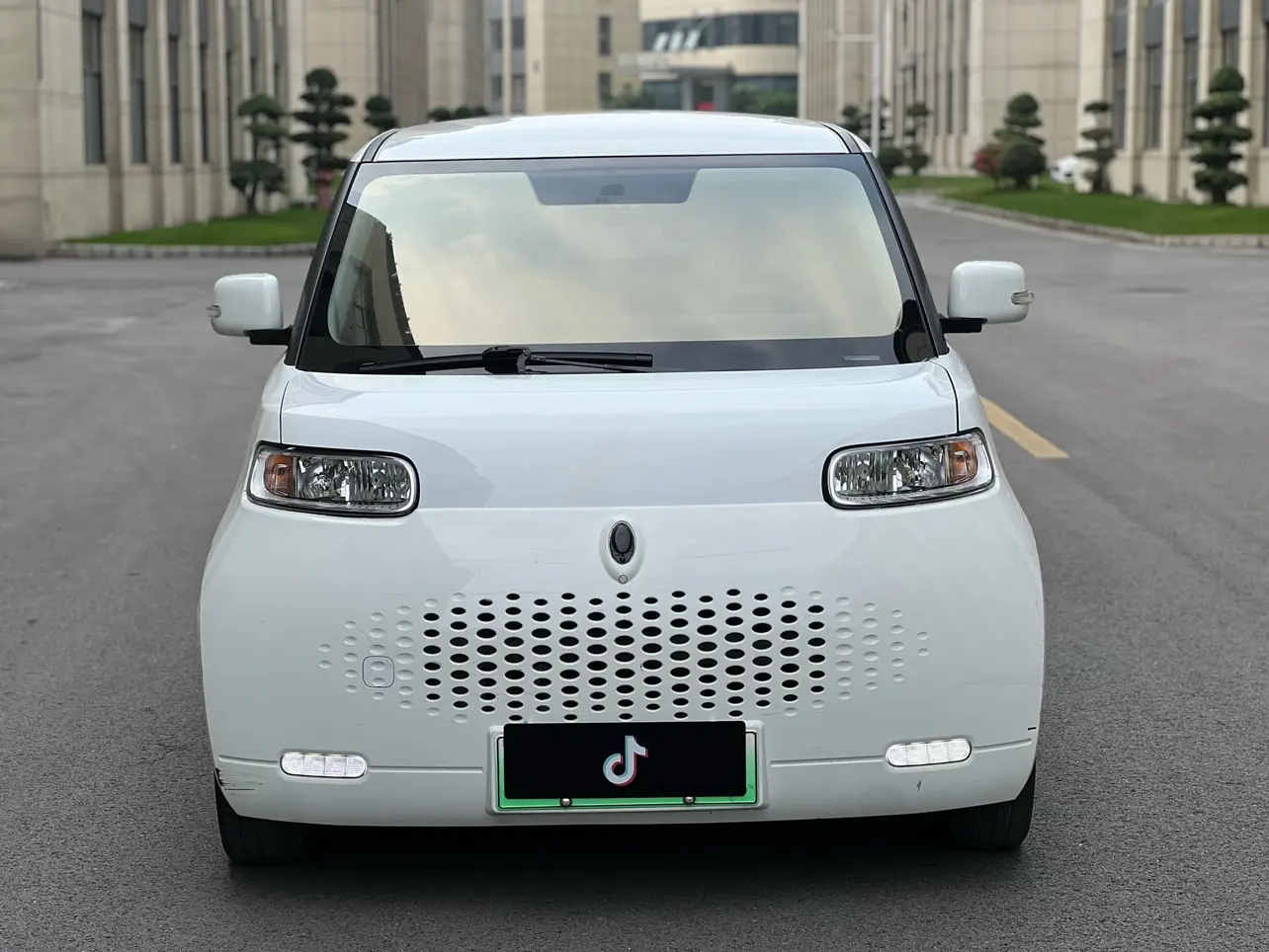 ORA Euler white cat  из Китая