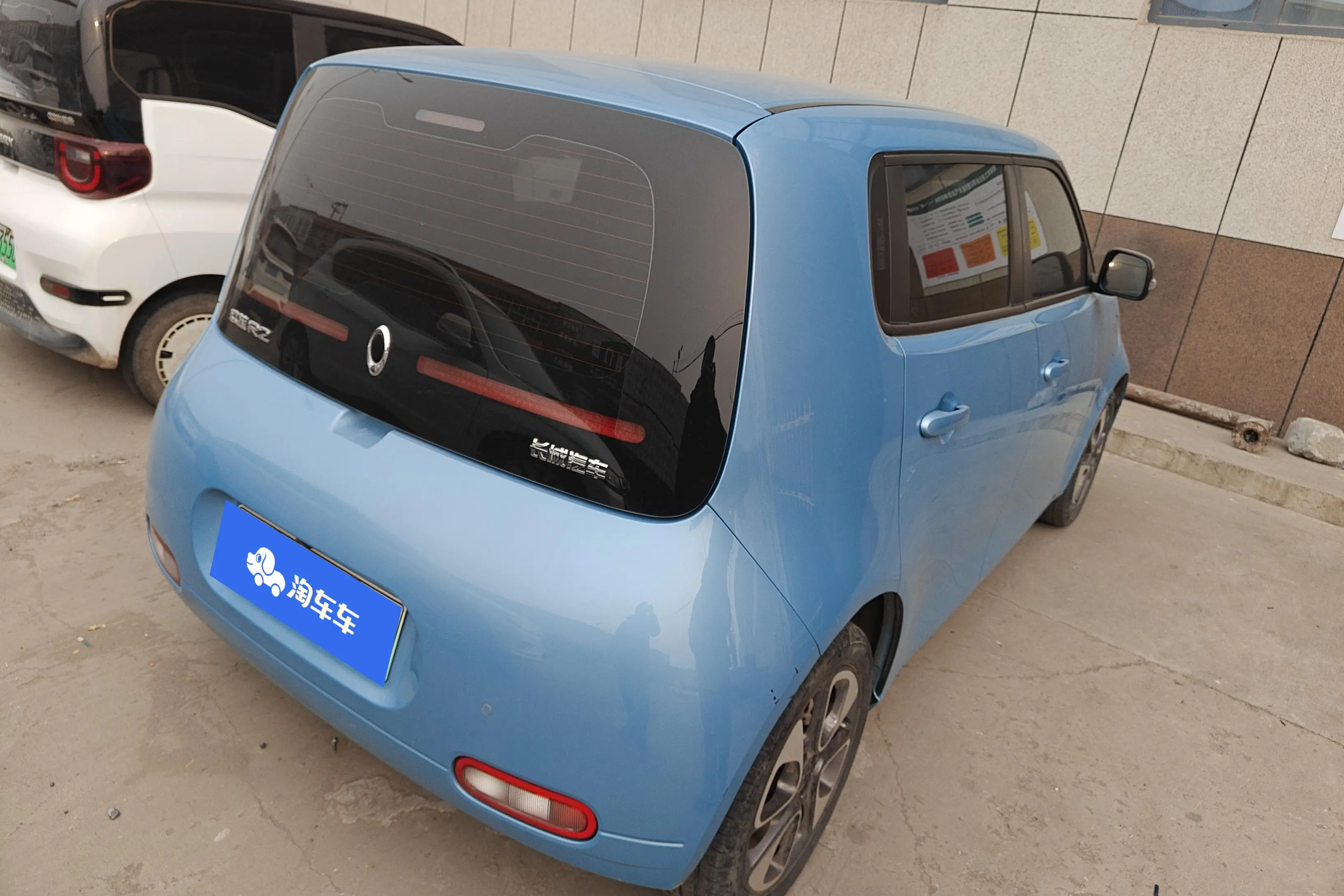 ORA Euler white cat  из Китая