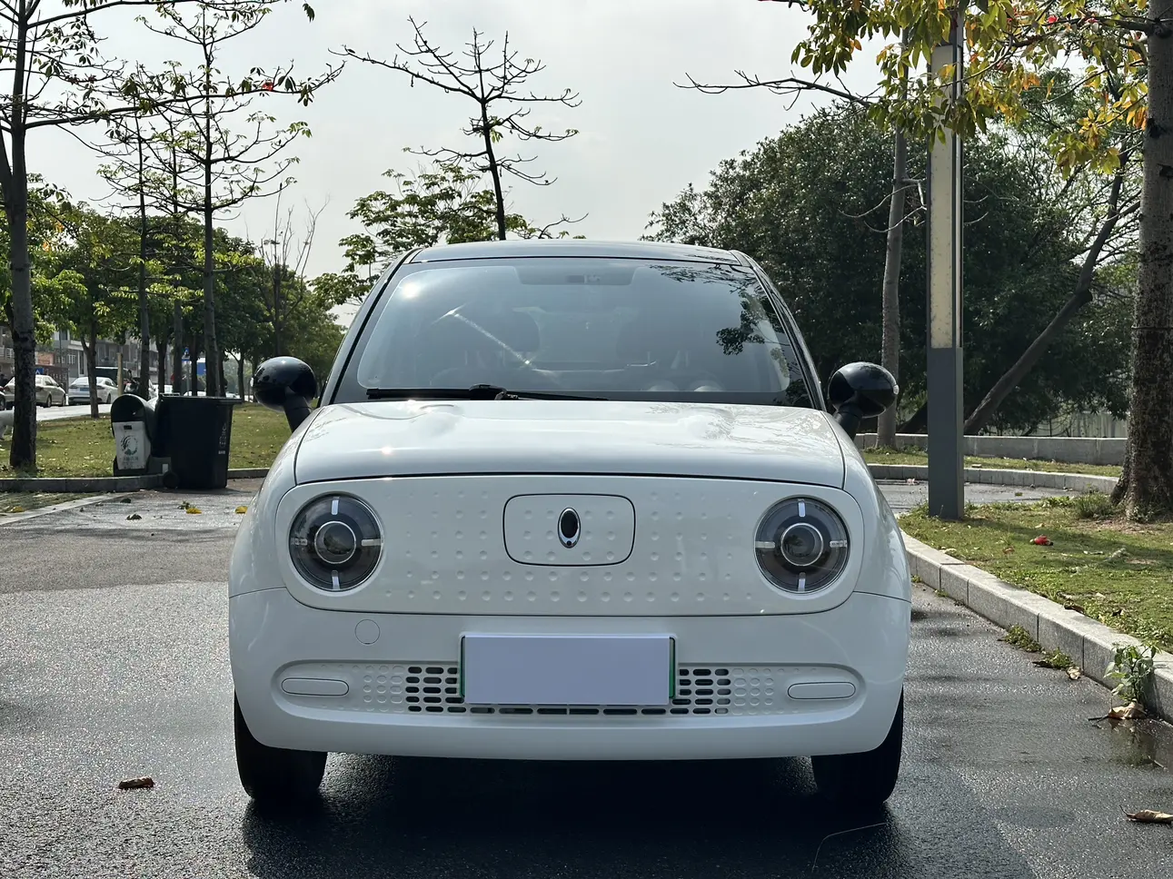 ORA Euler black cat  из Китая