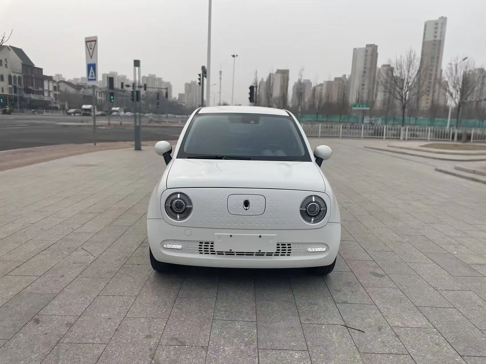 ORA Euler black cat  из Китая