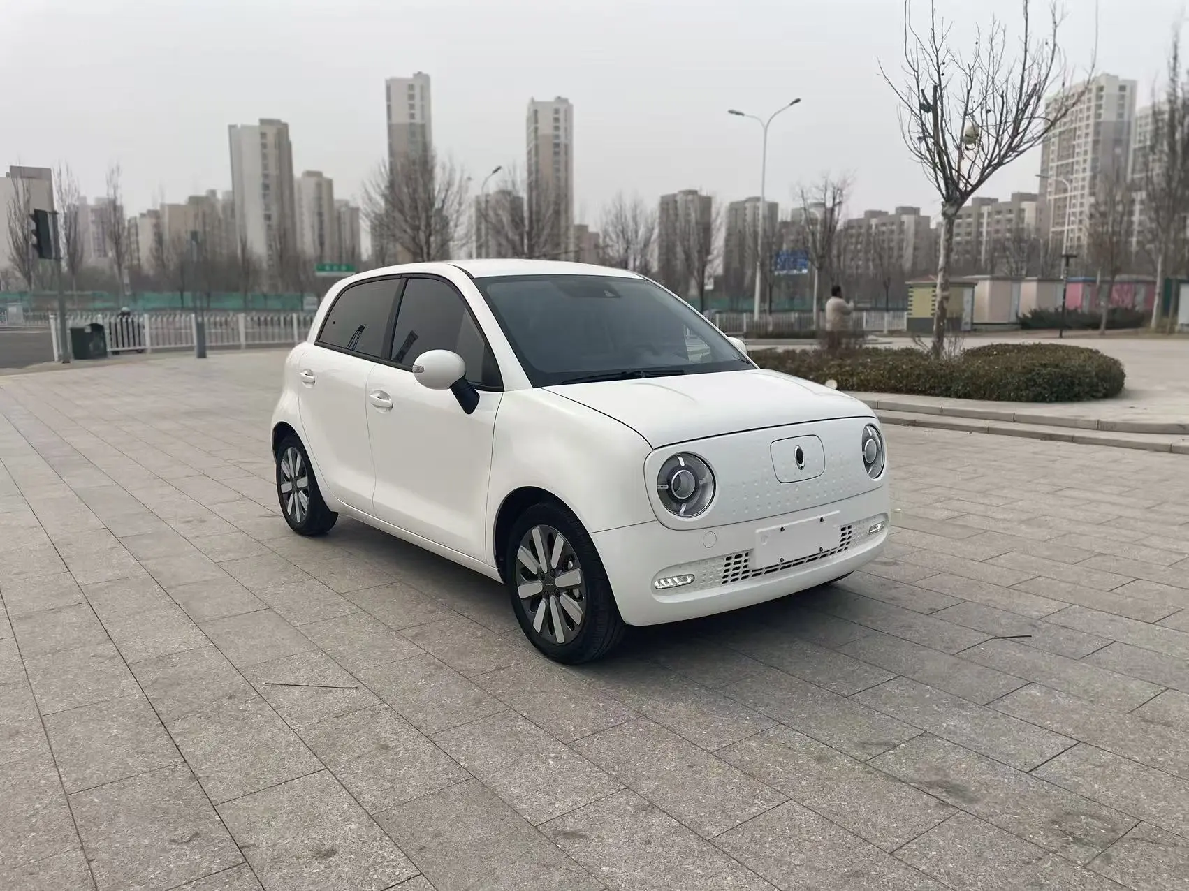 ORA Euler black cat  из Китая