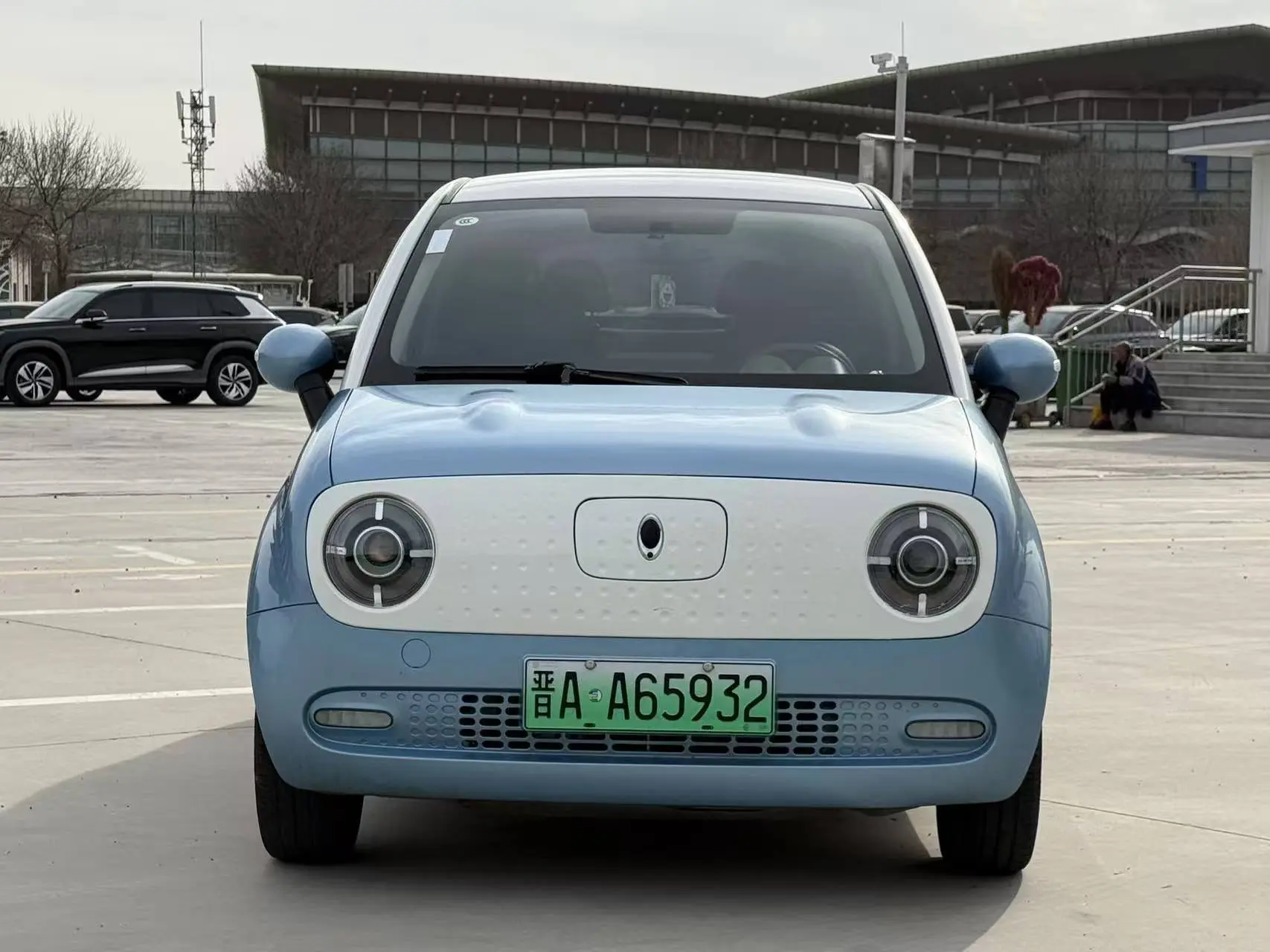 ORA Euler black cat  из Китая