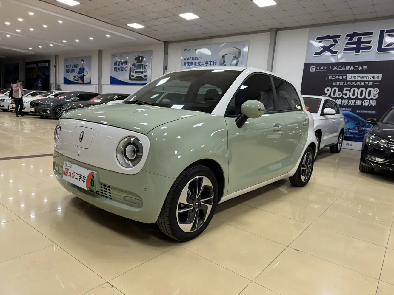 ORA Euler black cat  из Китая