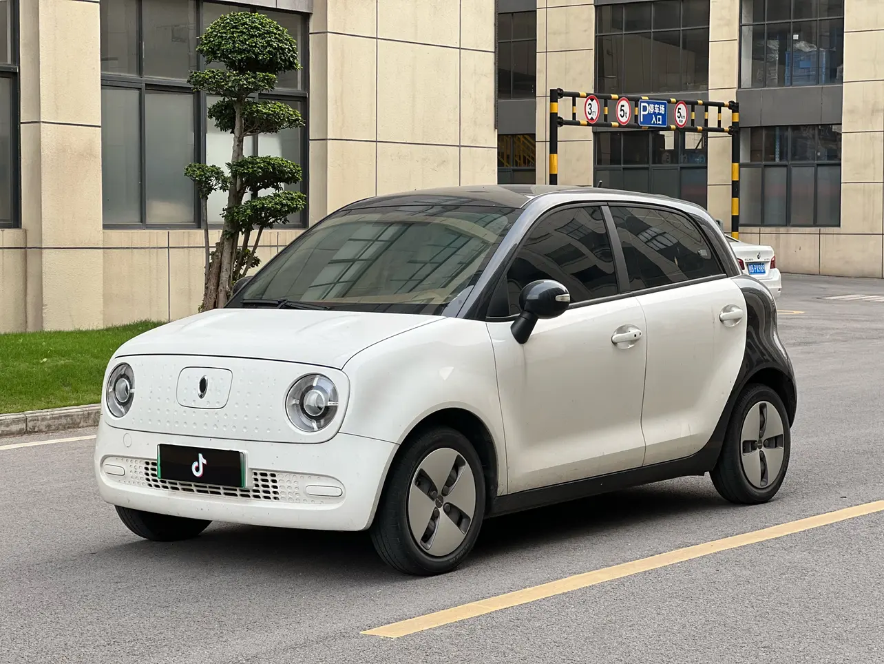 ORA Euler black cat  из Китая