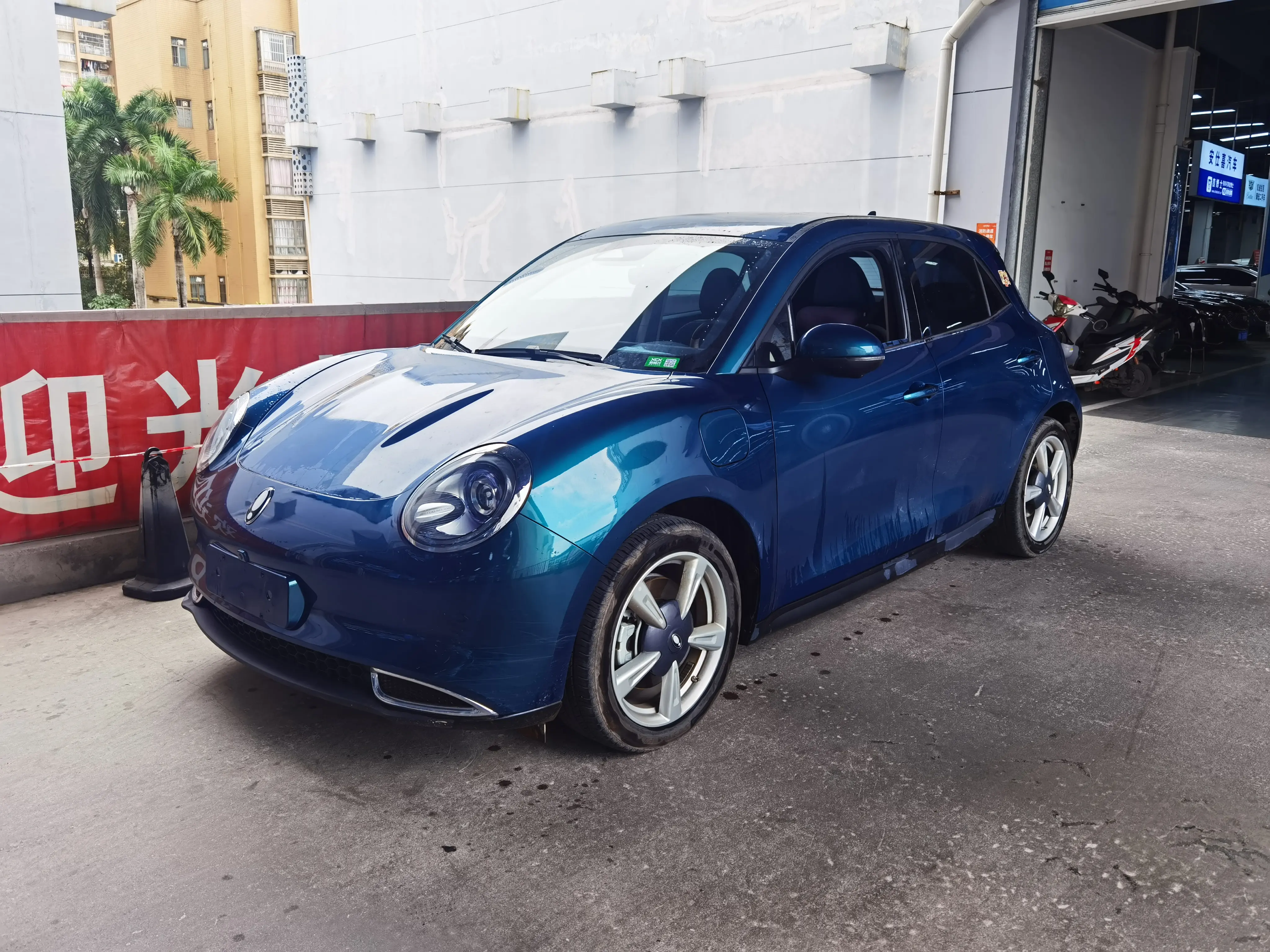 ORA Euler good cat  из Китая