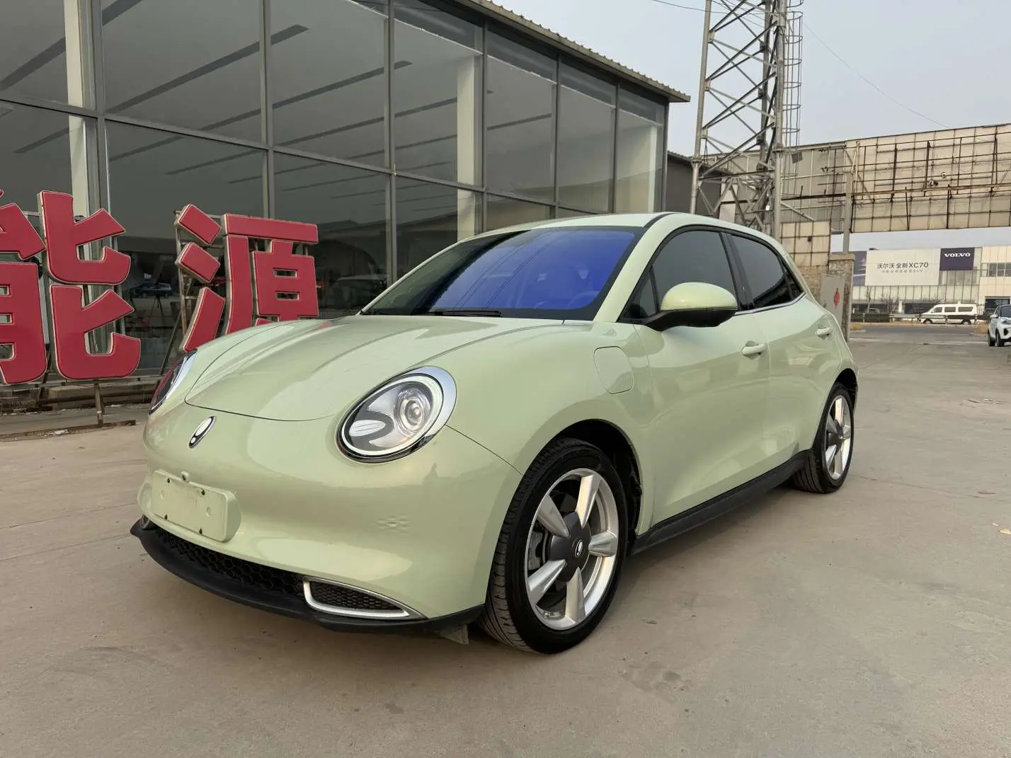 ORA Euler good cat  из Китая