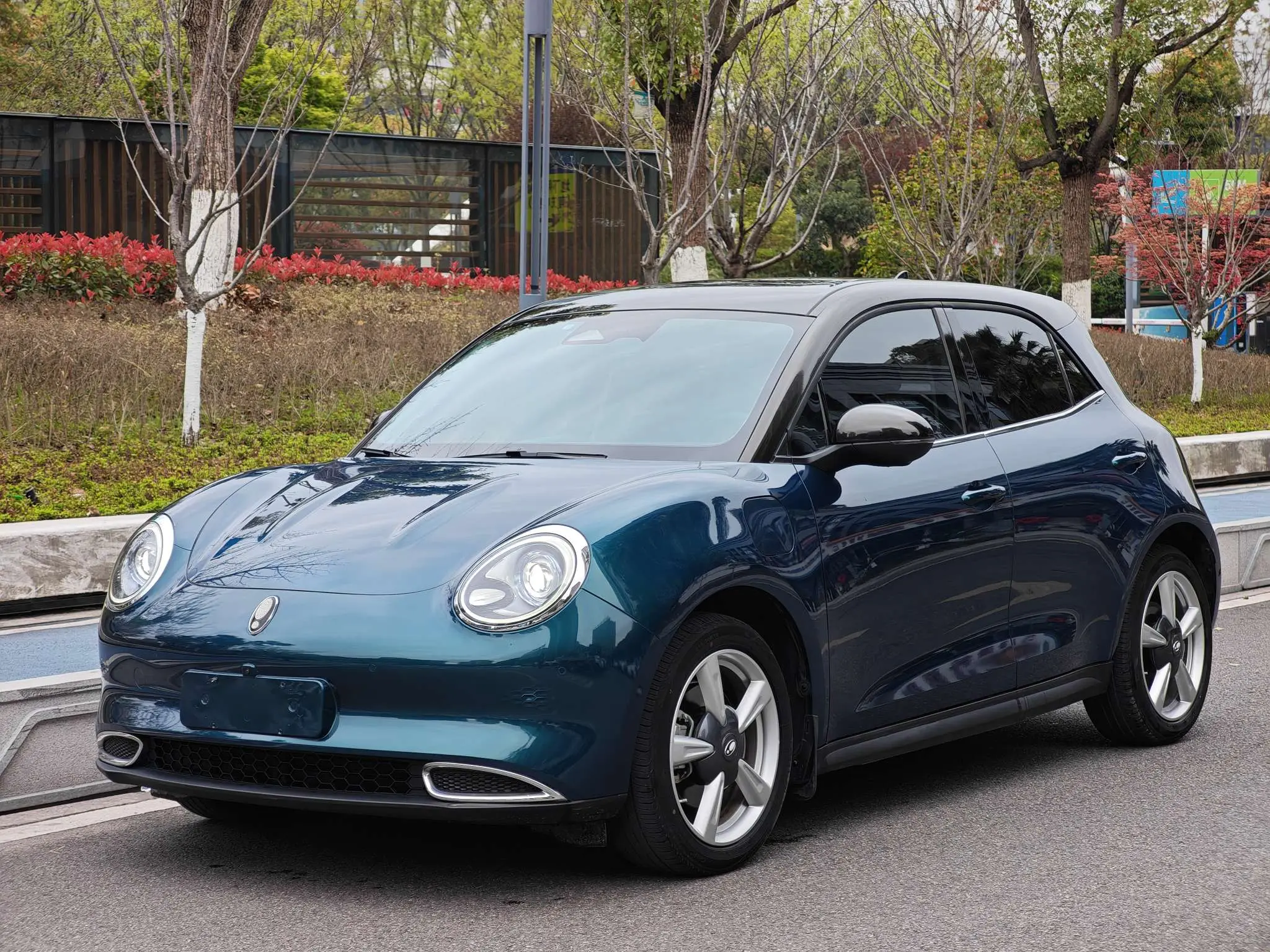 ORA Euler good cat  из Китая