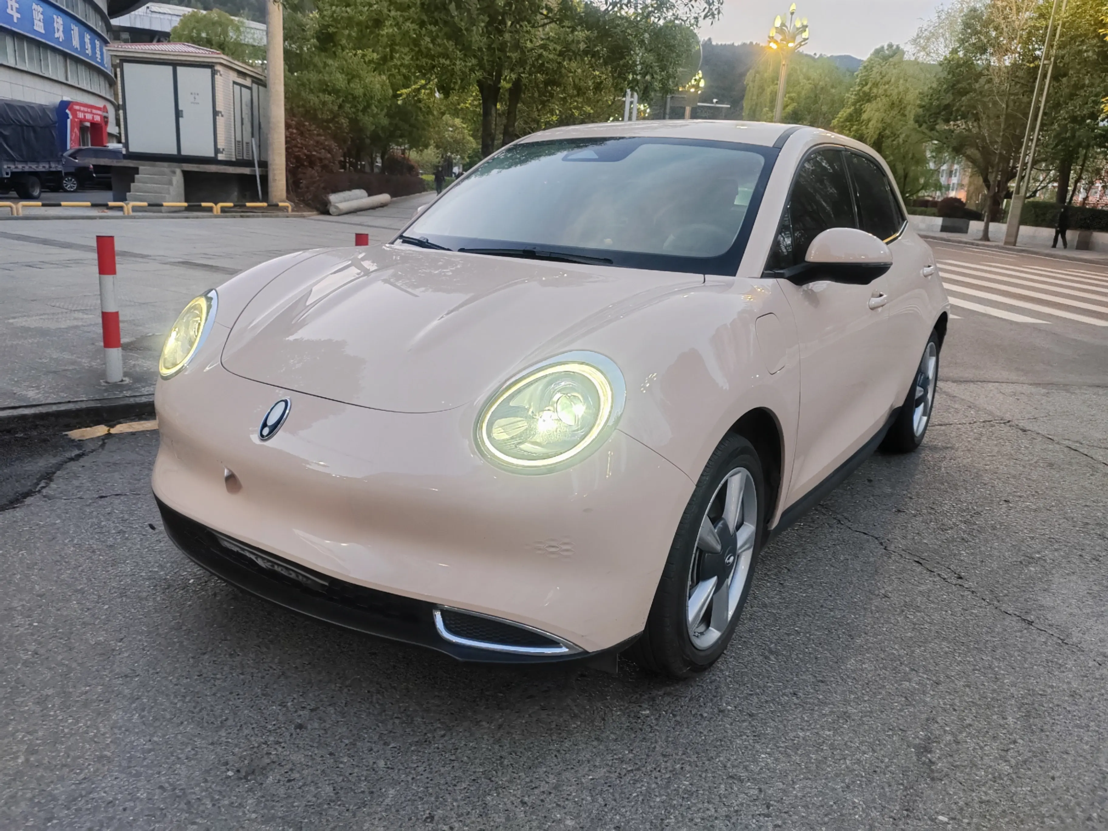 ORA Euler good cat  из Китая