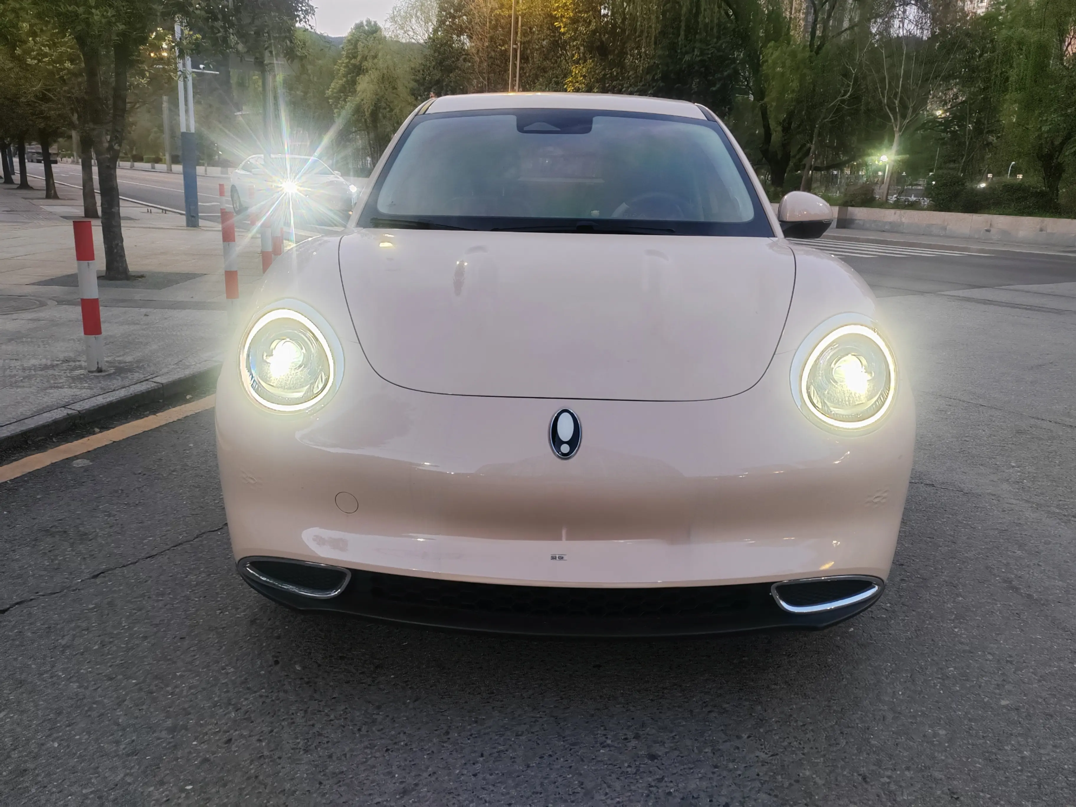 ORA Euler good cat  из Китая