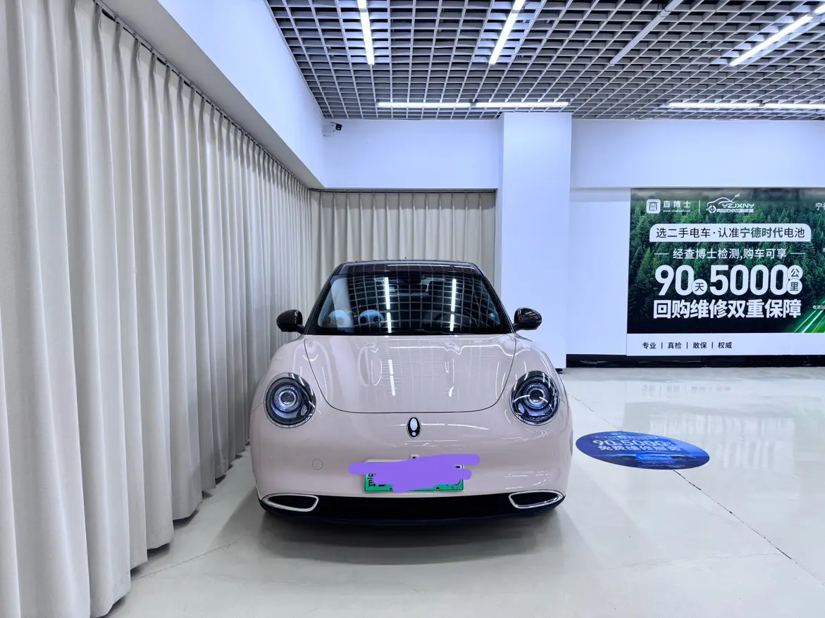 ORA Euler good cat  из Китая