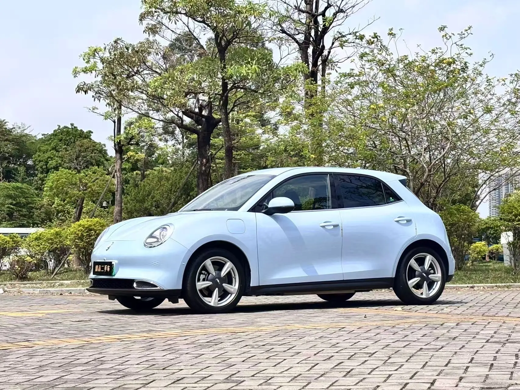 ORA Euler good cat  из Китая