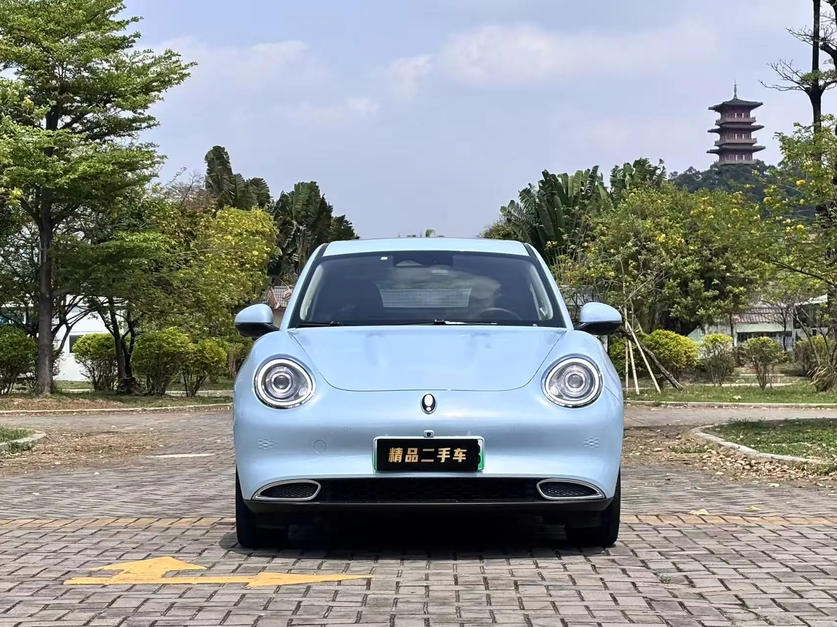 ORA Euler good cat  из Китая