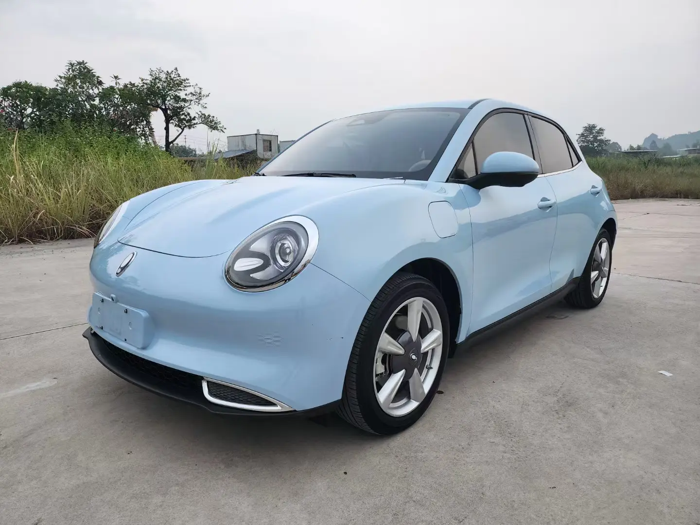 ORA Euler good cat  из Китая