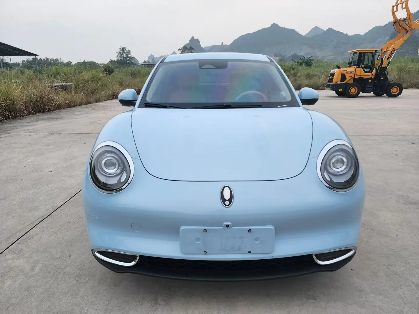 ORA Euler good cat  из Китая