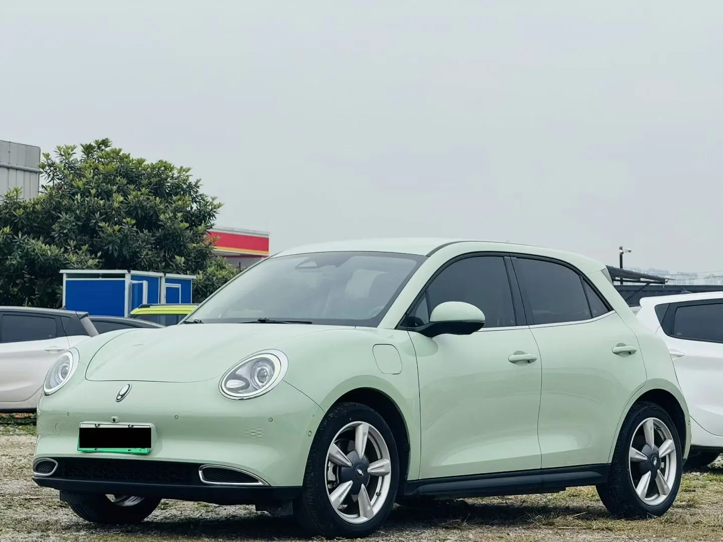 ORA Euler good cat  из Китая