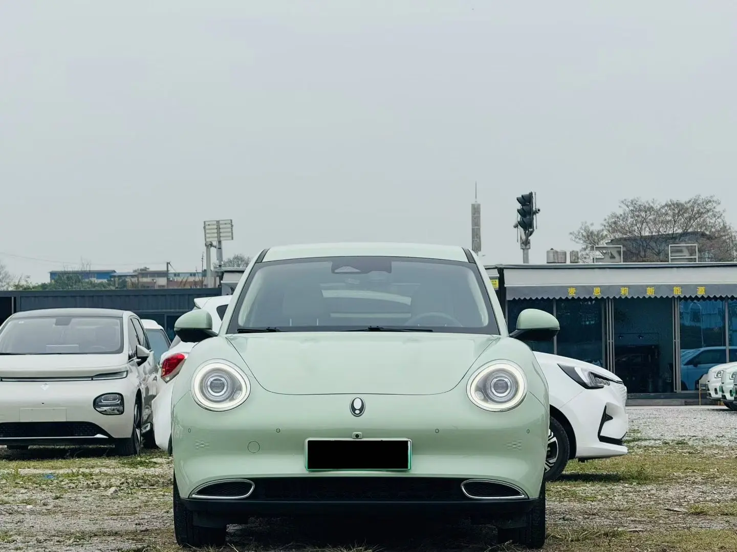 ORA Euler good cat  из Китая