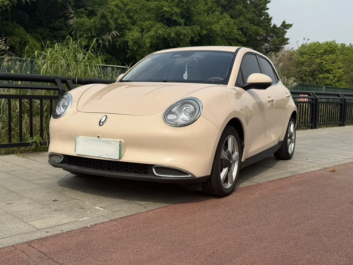 ORA Euler good cat  из Китая