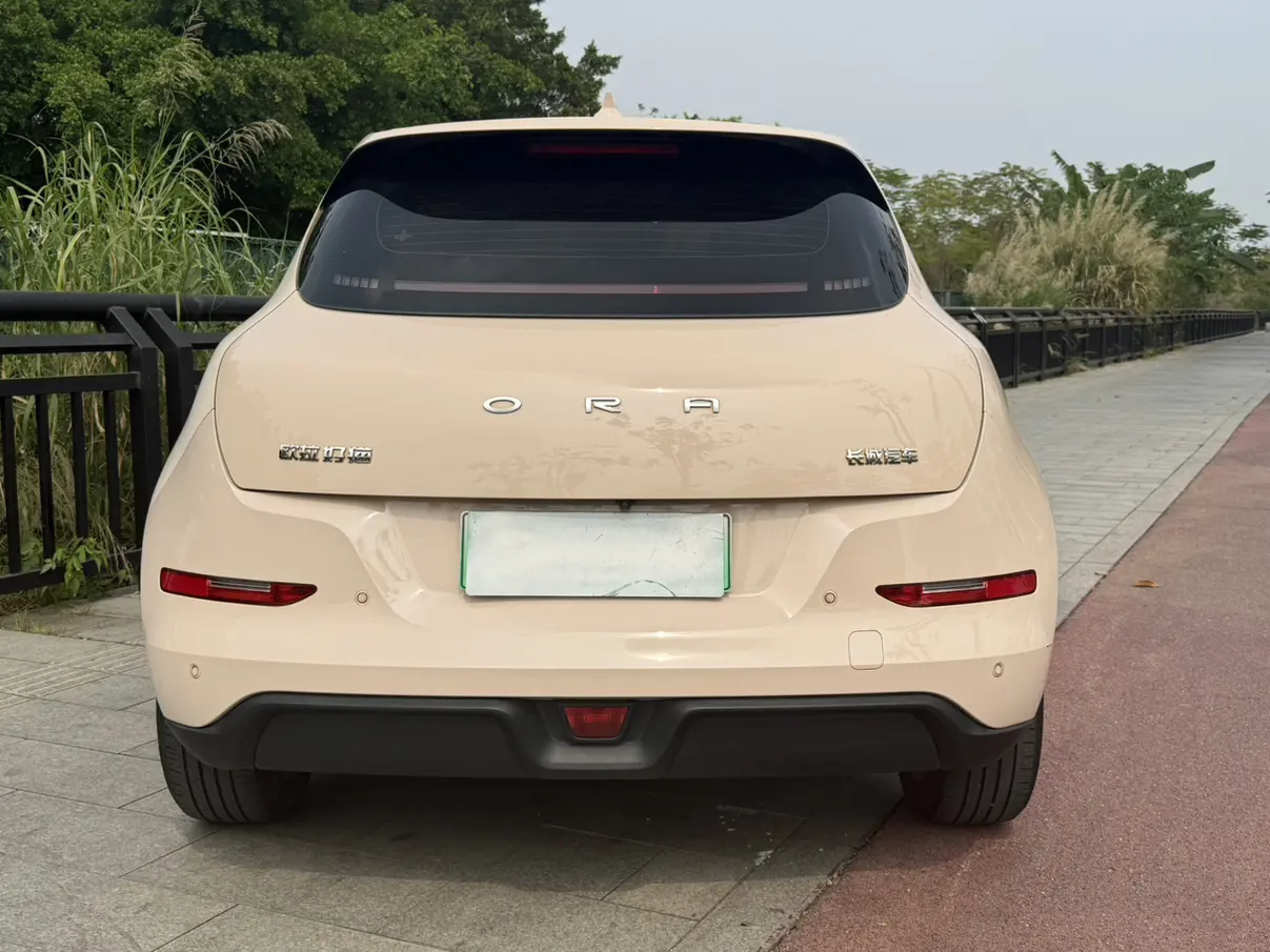 ORA Euler good cat  из Китая