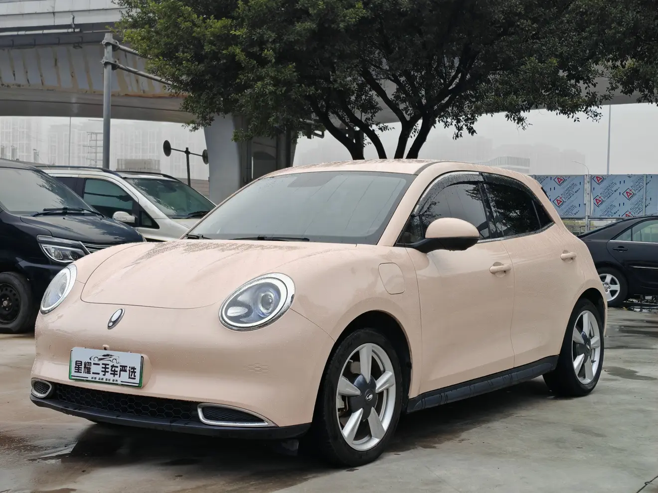 ORA Euler good cat  из Китая