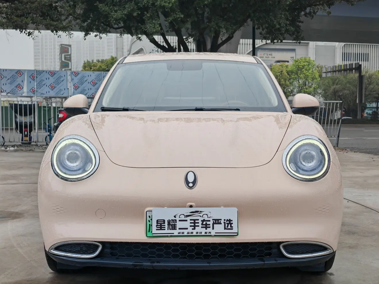 ORA Euler good cat  из Китая