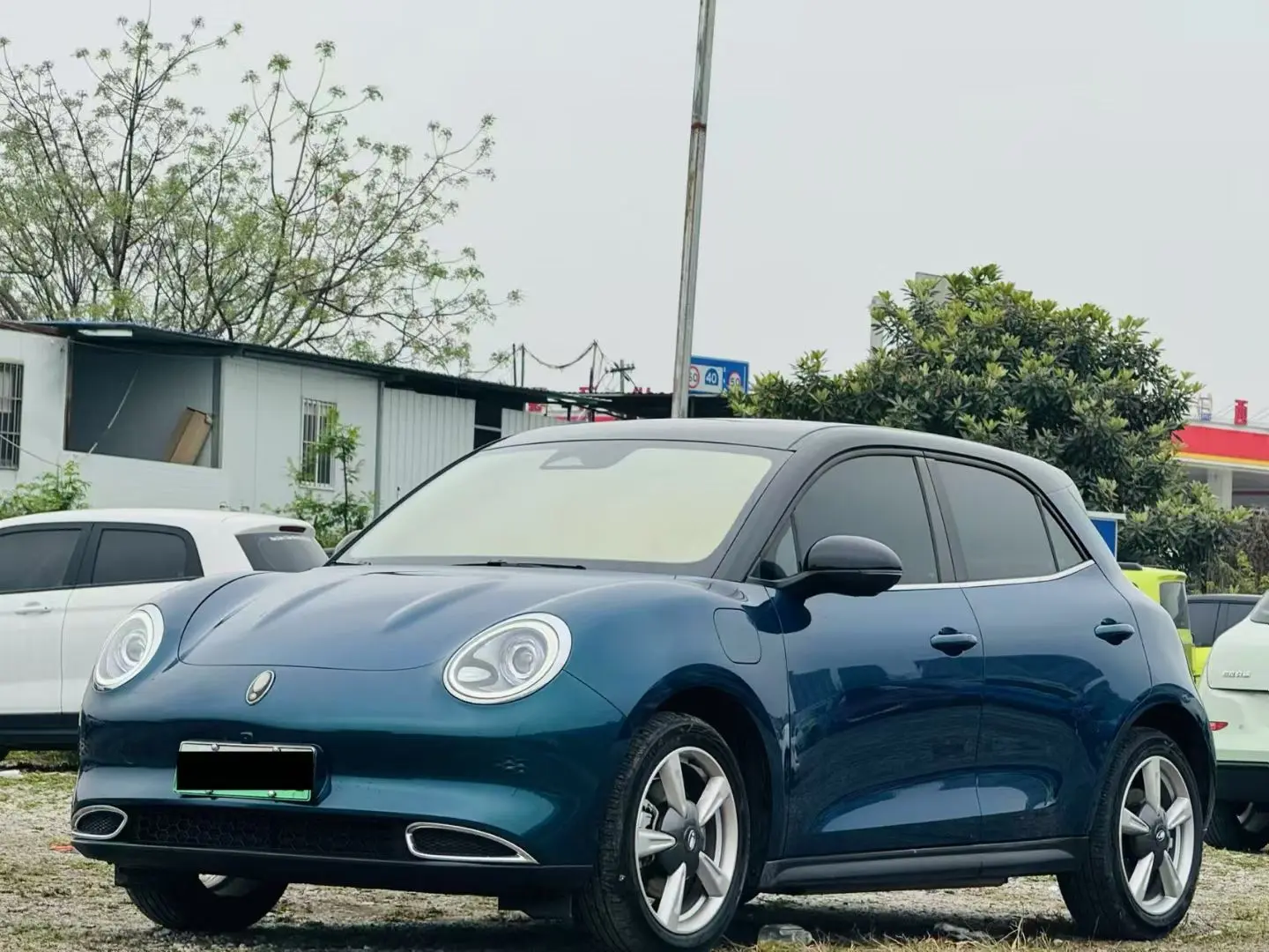 ORA Euler good cat  из Китая