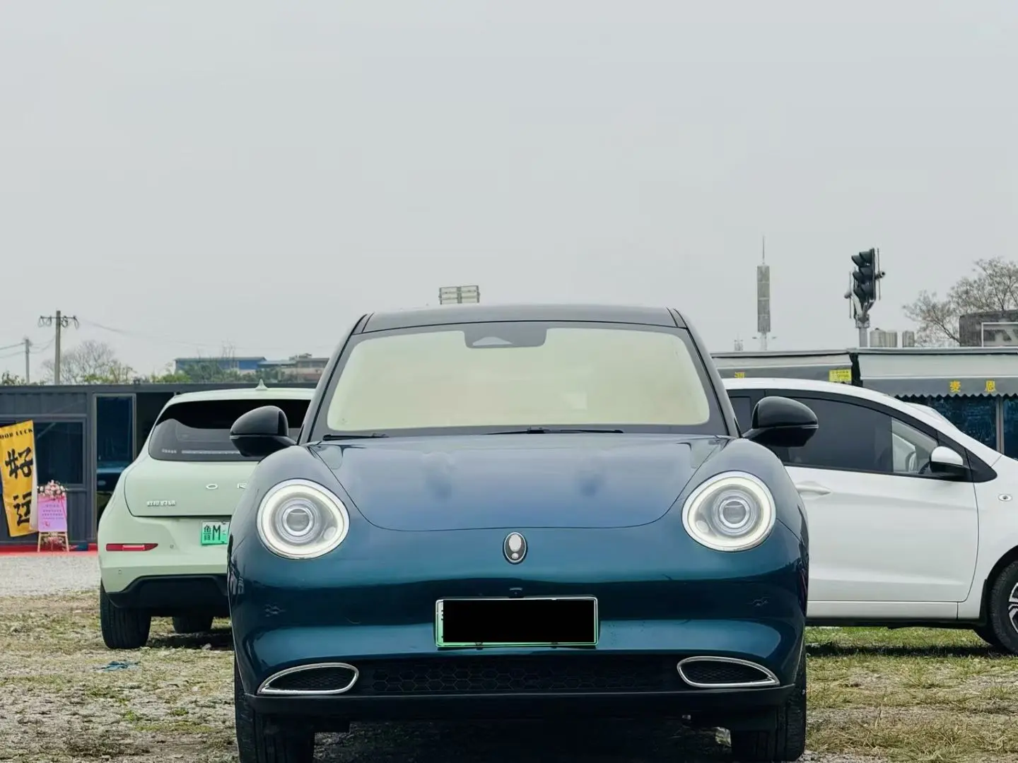 ORA Euler good cat  из Китая